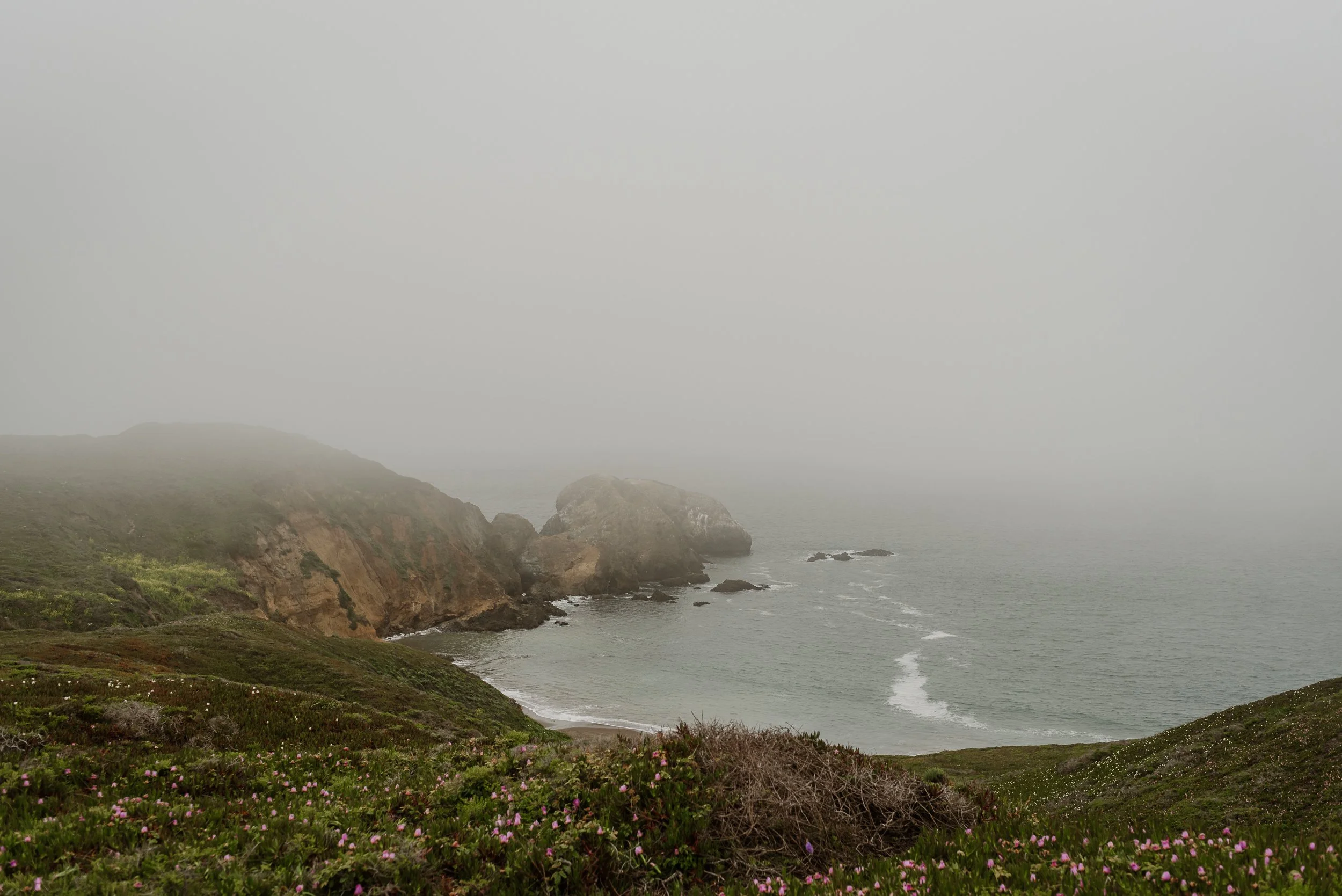 20-old-mill-park-marin-headlands-elopement-vivianchen-135.jpg