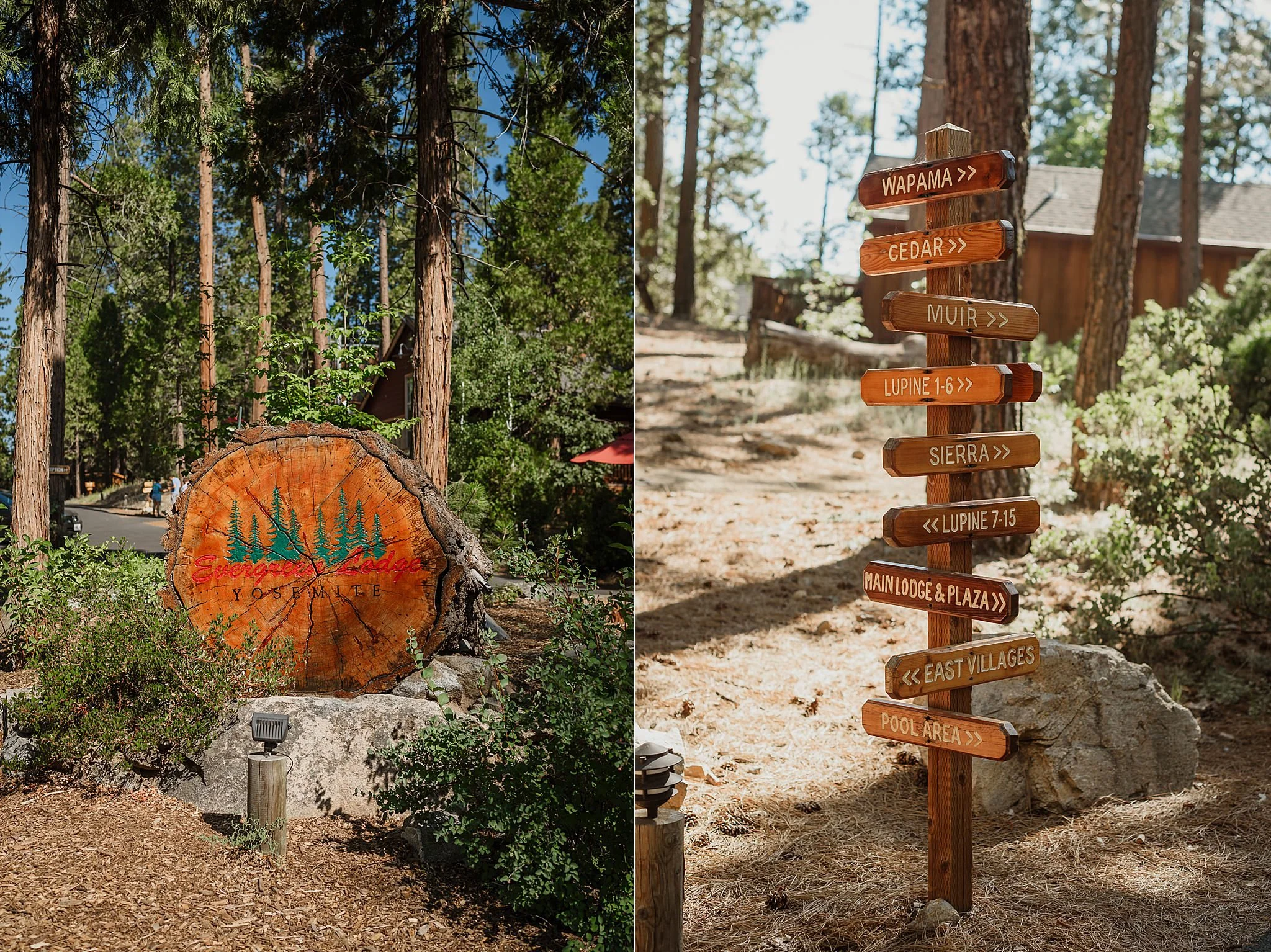 004-evergreen-lodge-yosemite-wedding-vivianchen-022_WEB.jpg