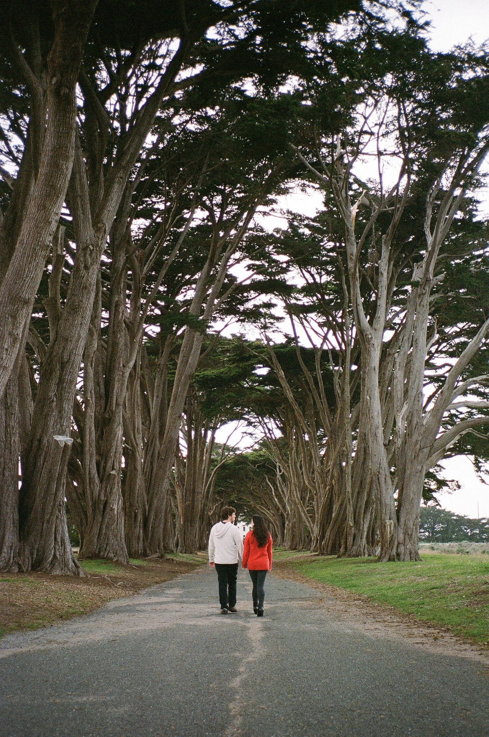 12-point-reyes-engagement-session-vivianchen-202.jpg