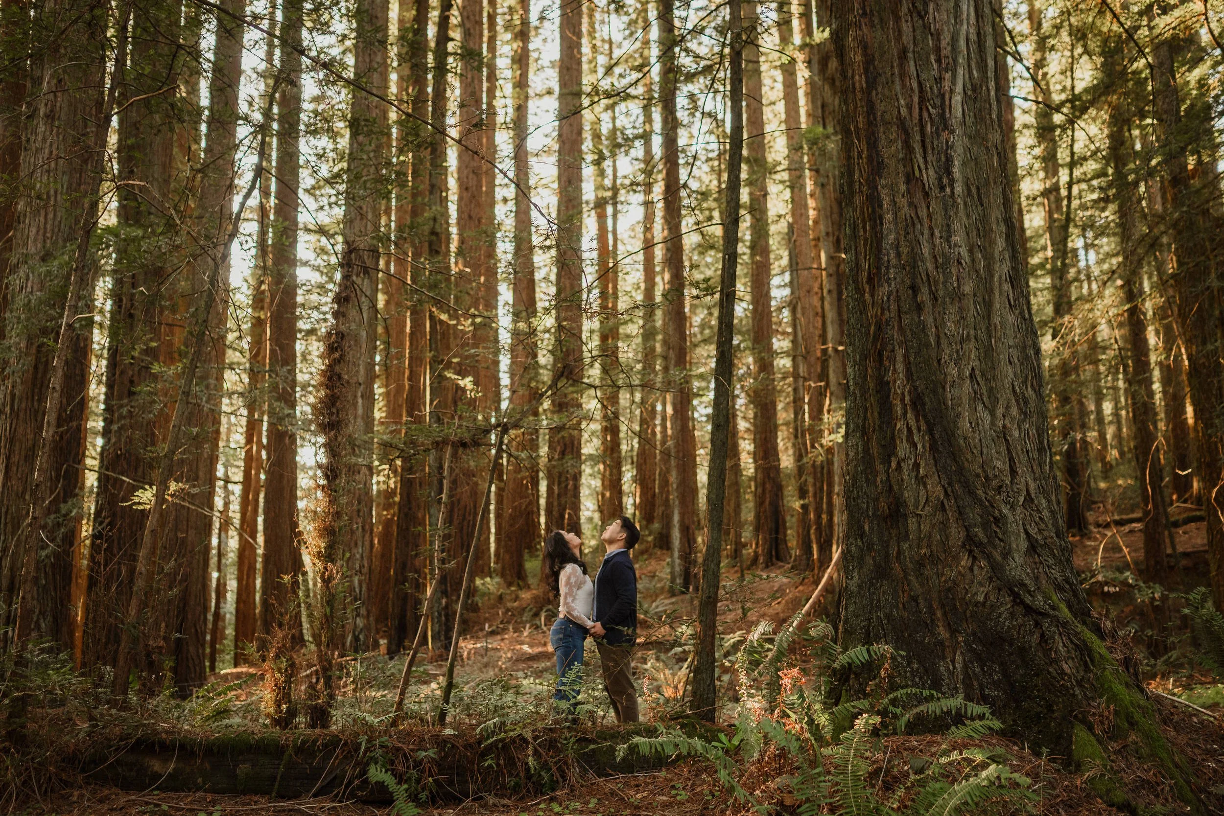 06-sunset-mount-tamalpais-engagemen=session-vivianchen-082.jpg