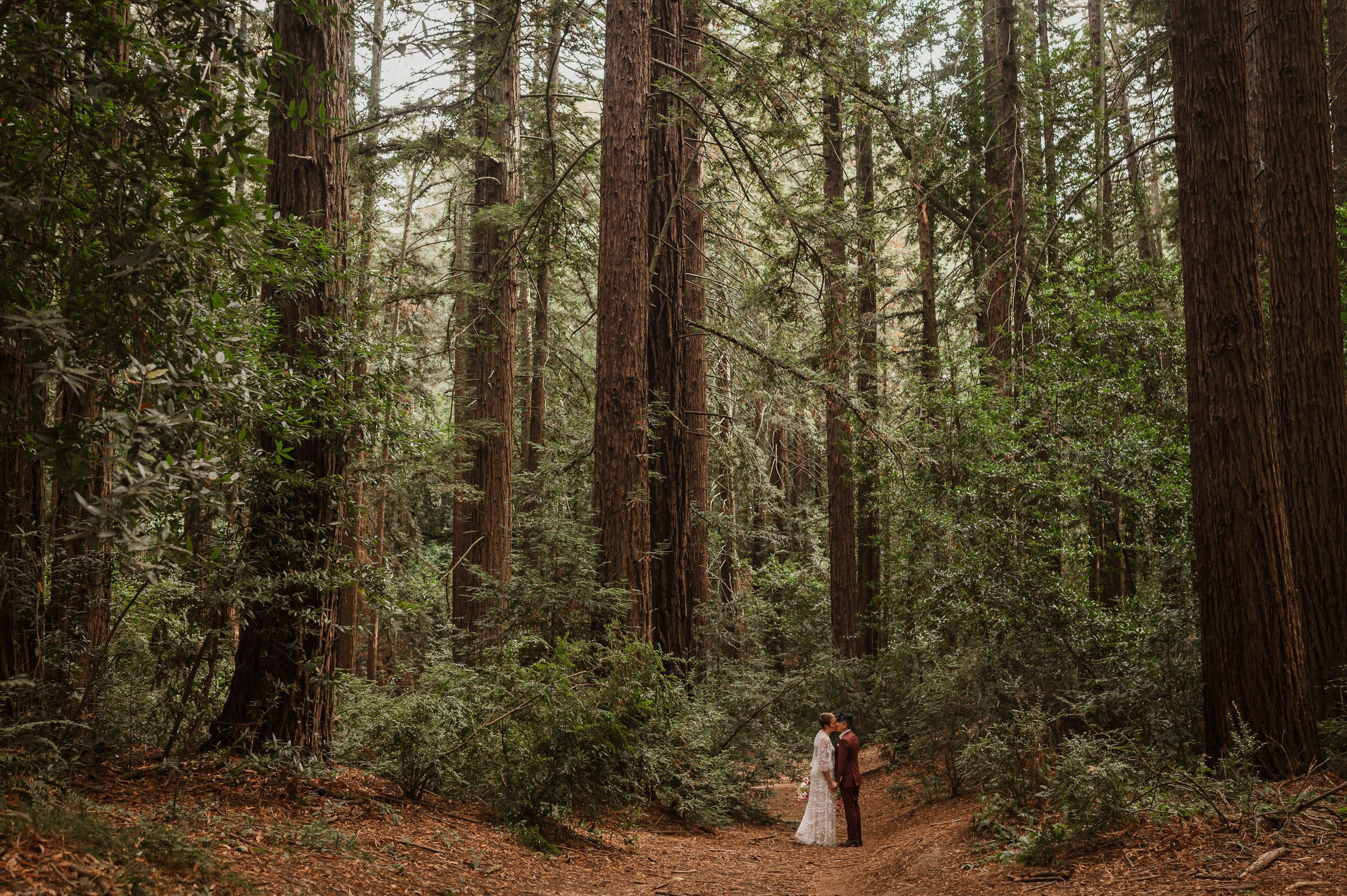 013-roberts-redwood-regional-park-good-stock-oakland-wedding-vivianchen-165.jpg