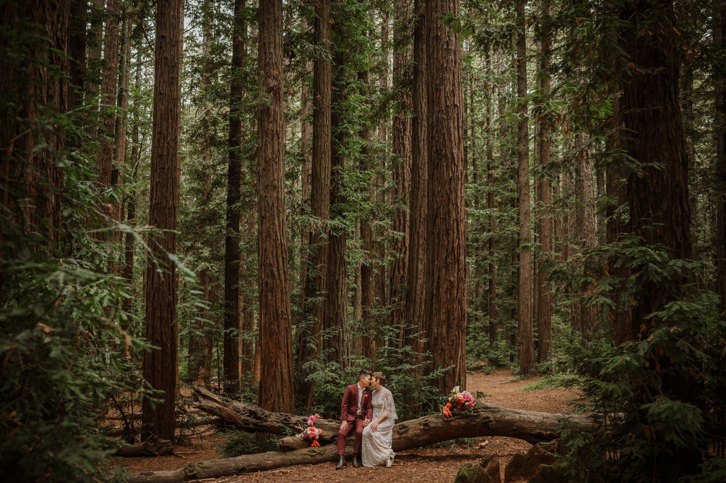 020-roberts-redwood-regional-park-good-stock-oakland-wedding-vivianchen-194.jpg
