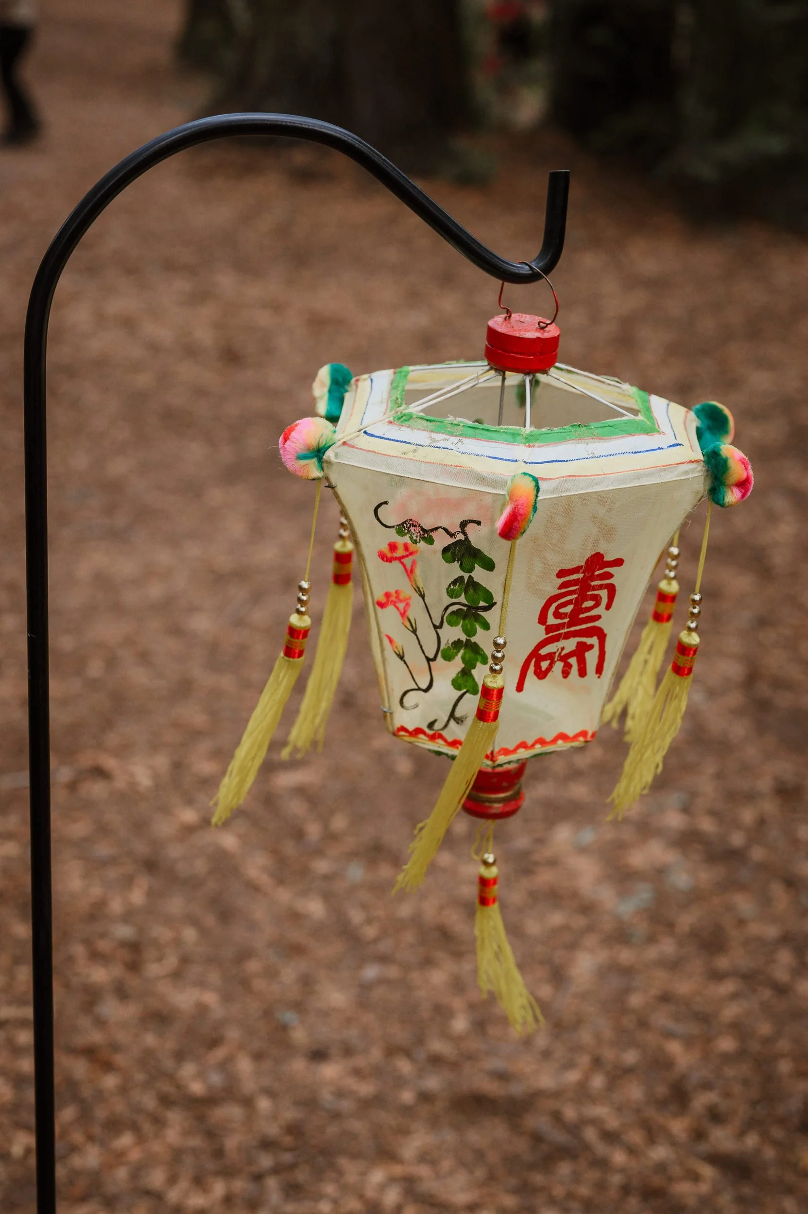 024-roberts-redwood-regional-park-good-stock-oakland-wedding-vivianchen-030.jpg