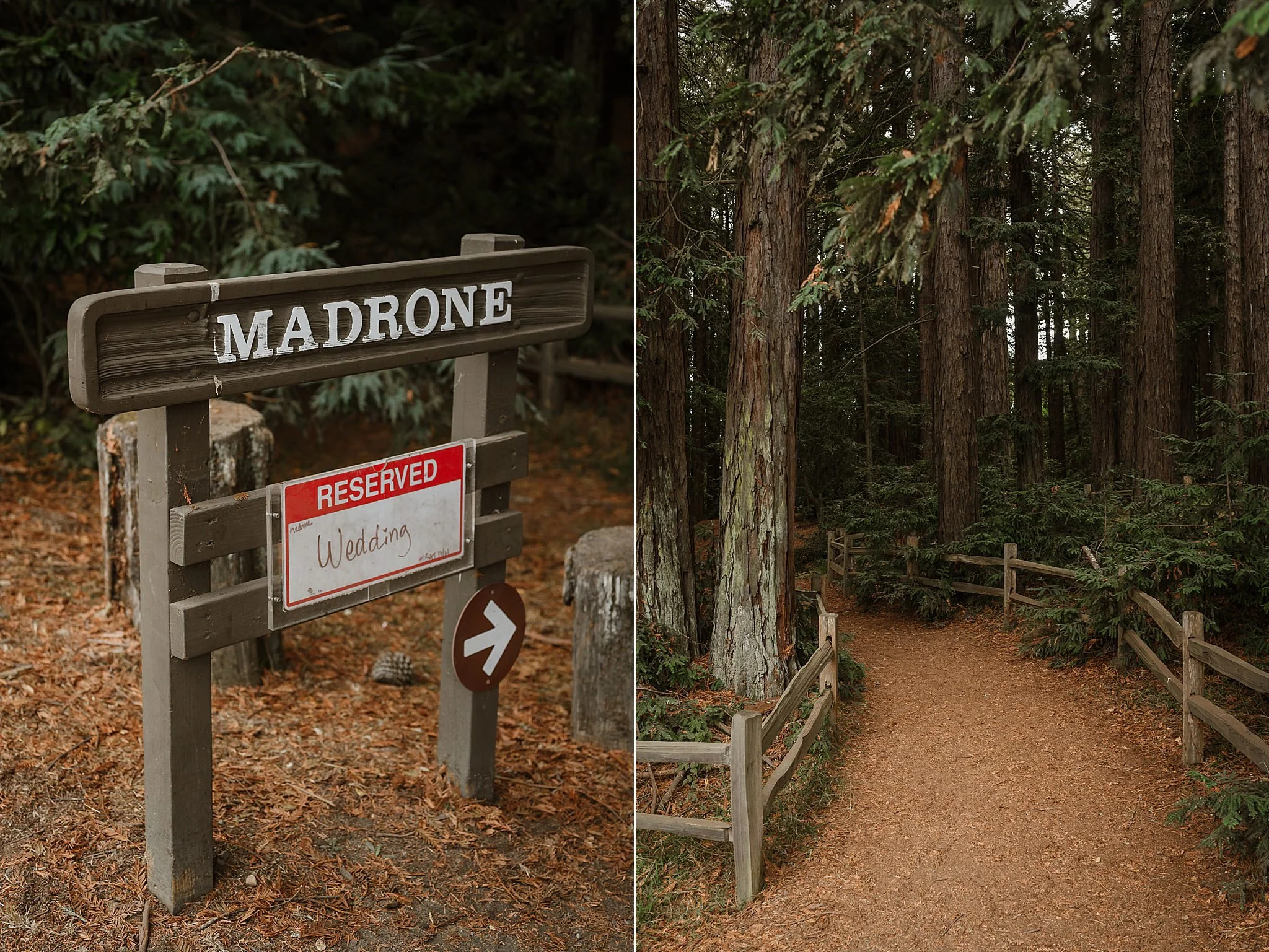 022-roberts-redwood-regional-park-good-stock-oakland-wedding-vivianchen-025_WEB.jpg