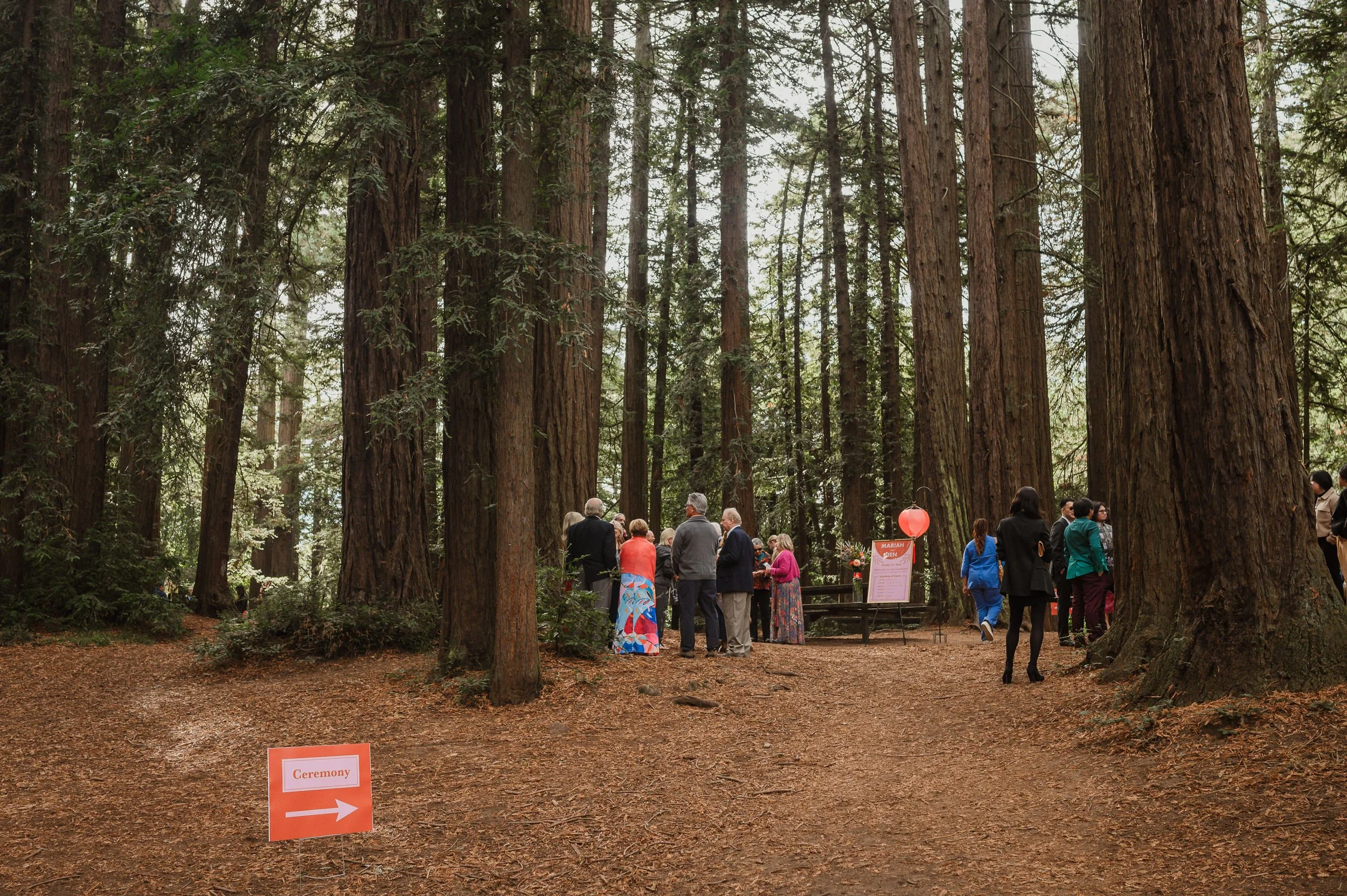 029-roberts-redwood-regional-park-good-stock-oakland-wedding-vivianchen-318.jpg