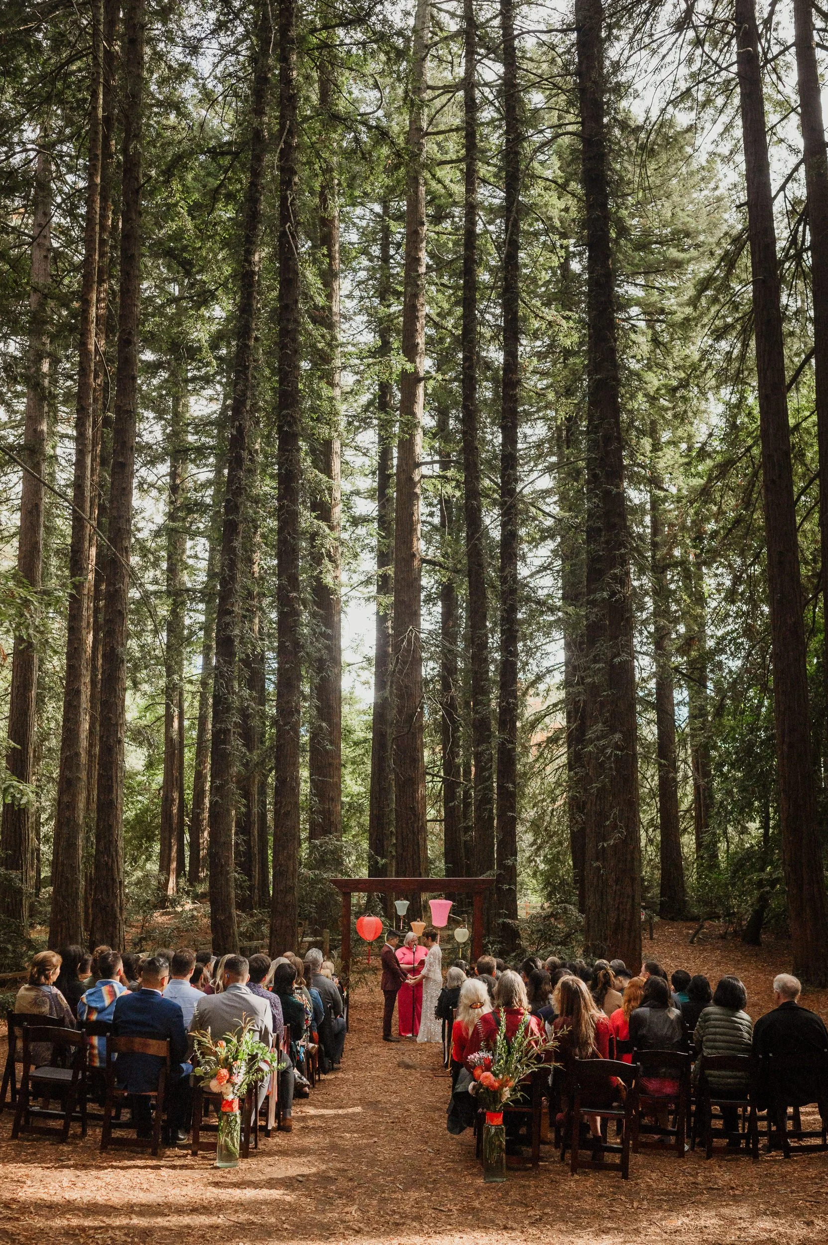 043-roberts-redwood-regional-park-good-stock-oakland-wedding-vivianchen-373.jpg