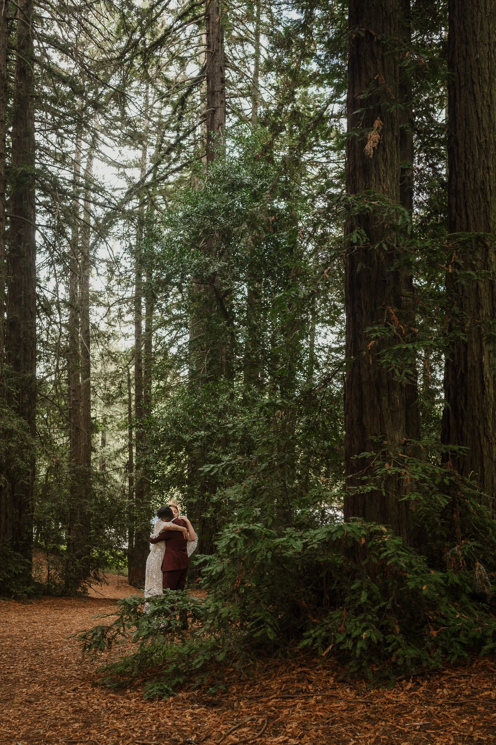 058-roberts-redwood-regional-park-good-stock-oakland-wedding-vivianchen-499.jpg
