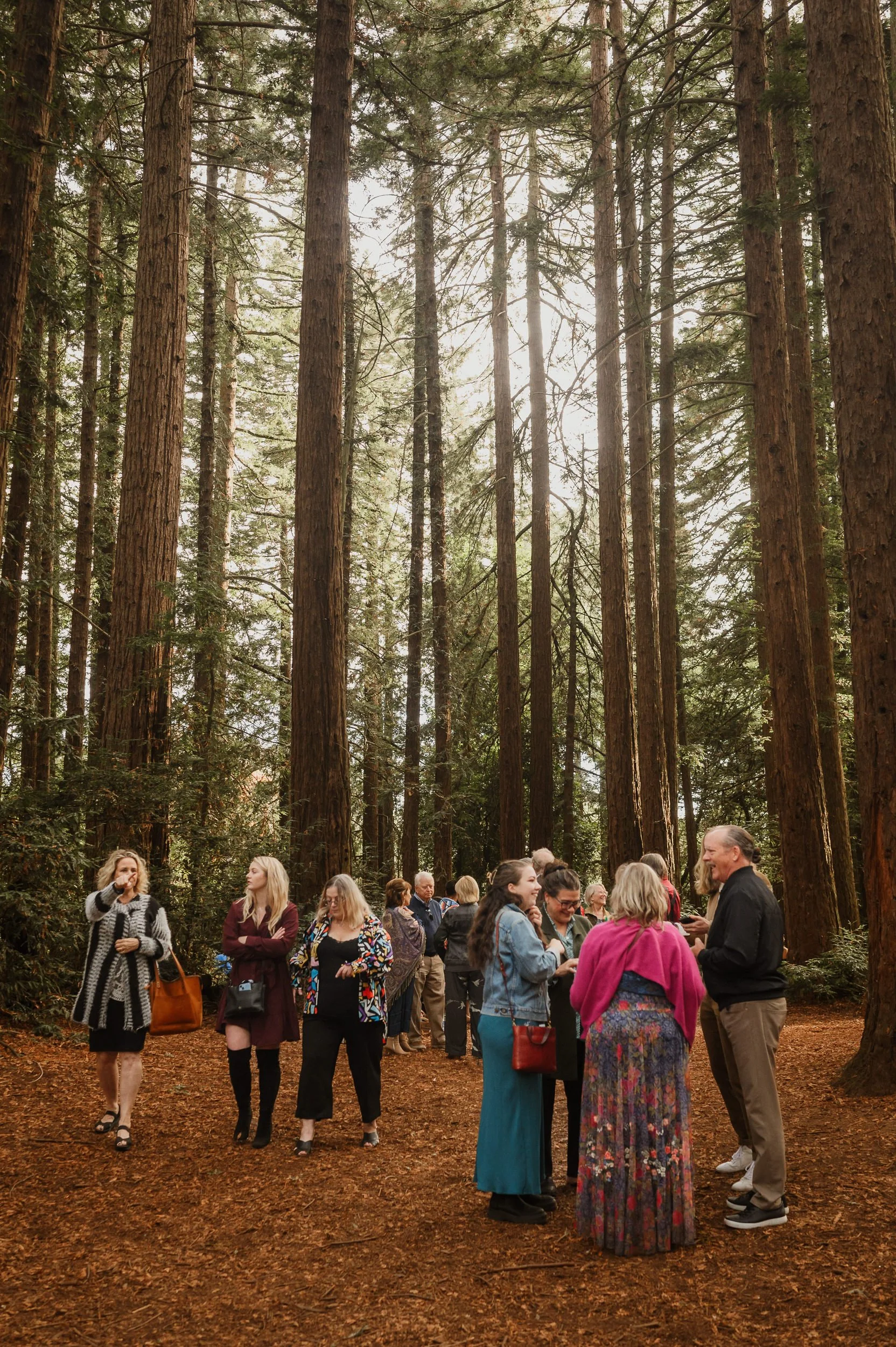 069-roberts-redwood-regional-park-good-stock-oakland-wedding-vivianchen-552.jpg