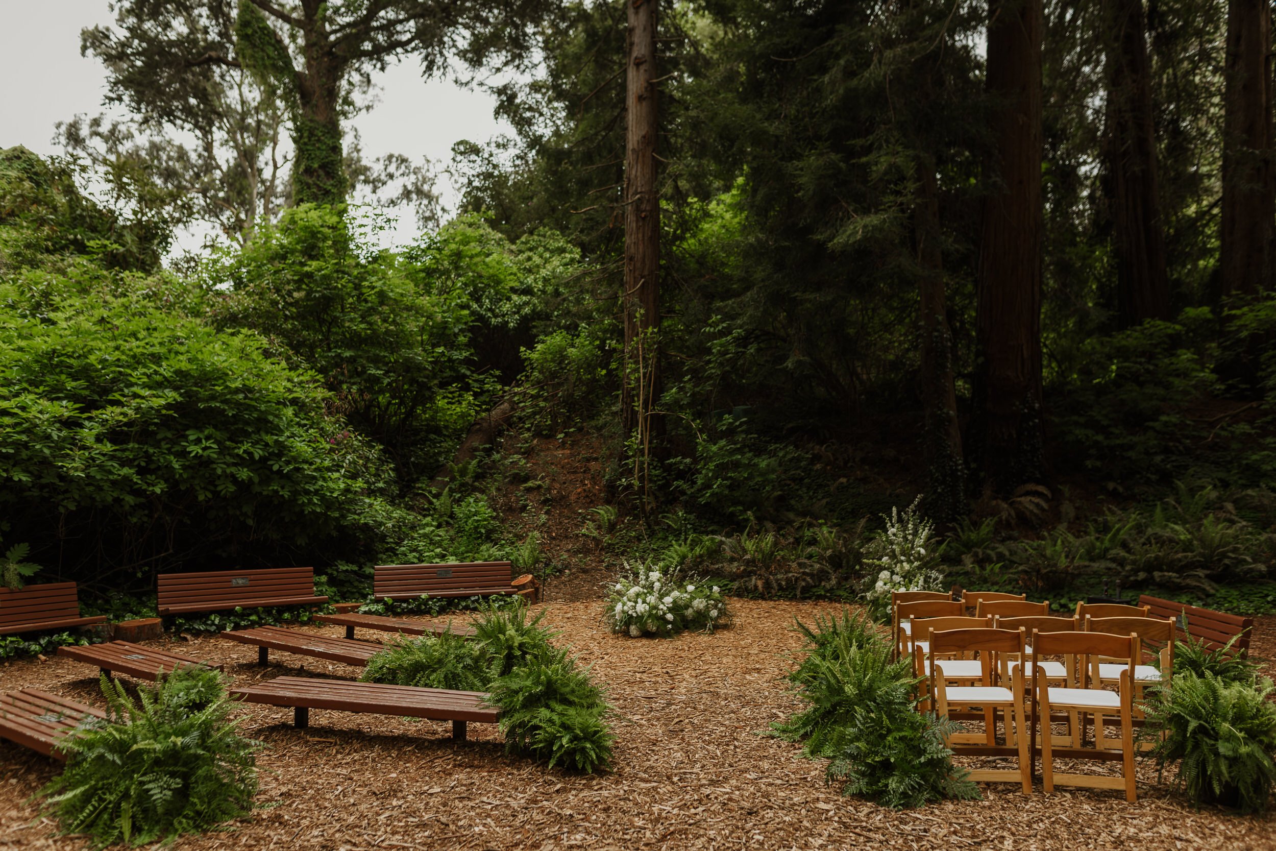 16-sf-botanical-garden-fiorella-wedding-vivianchen-015.jpg