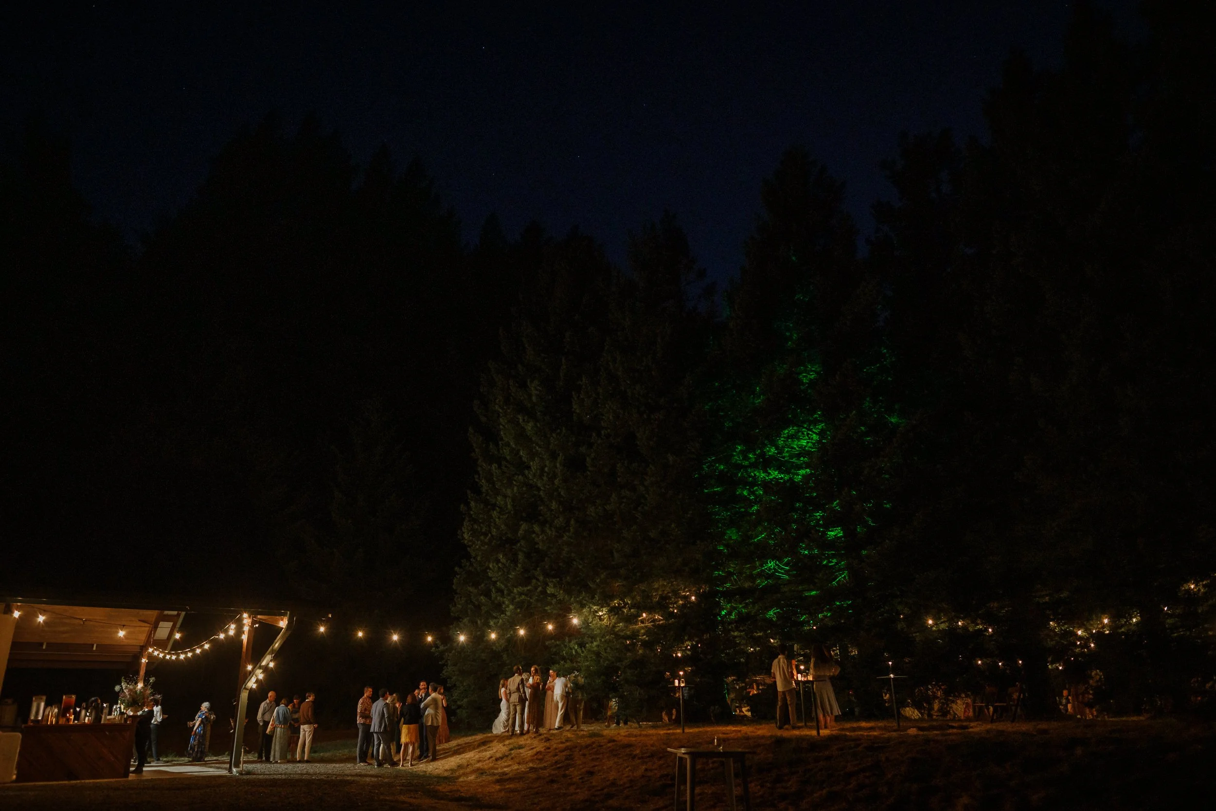 125-filigreen-farm-wedding-vivianchen-1035.jpg
