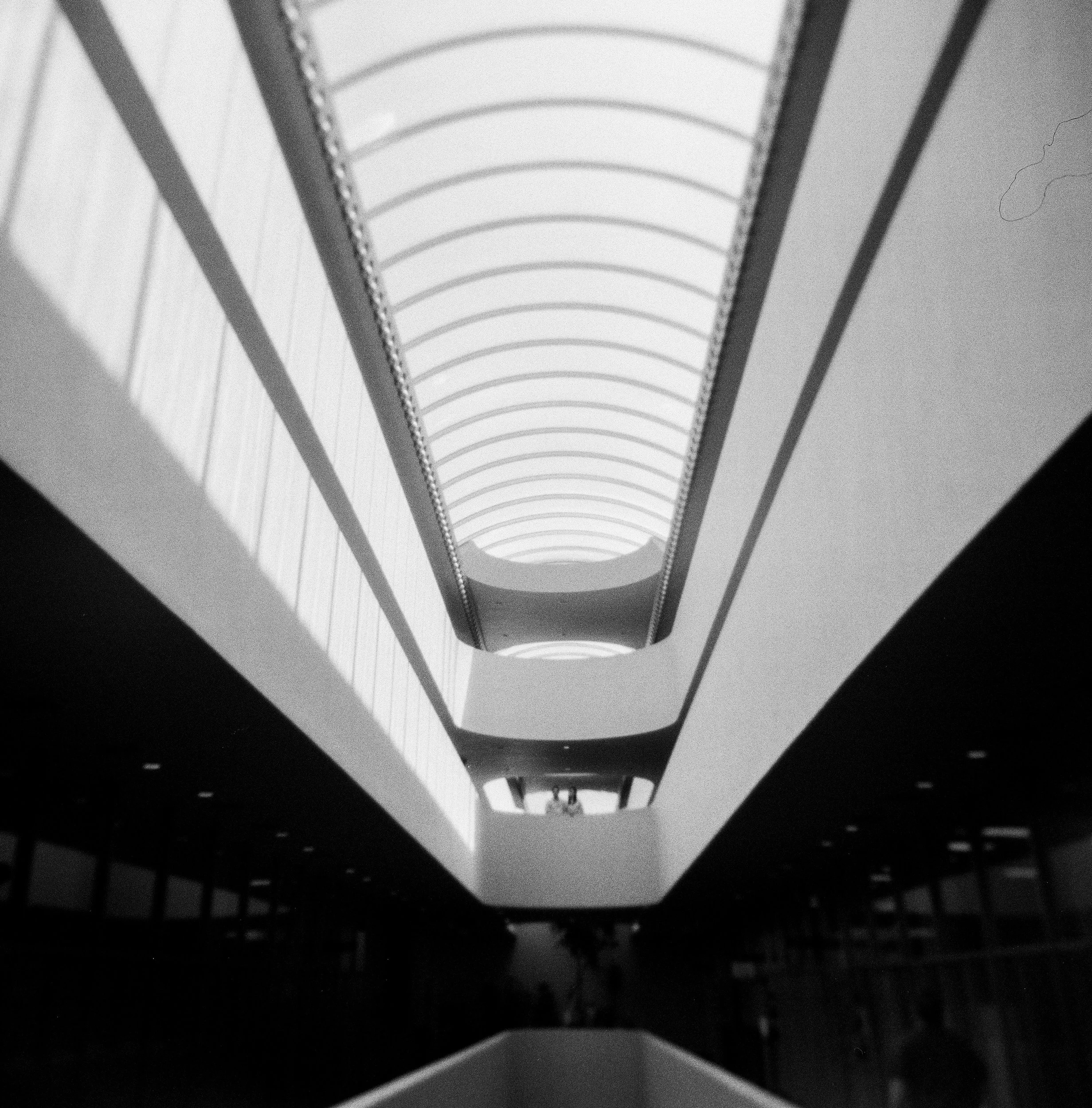 08-marin-county-civic-center-engagement-session-vivianchen-159-1.jpg