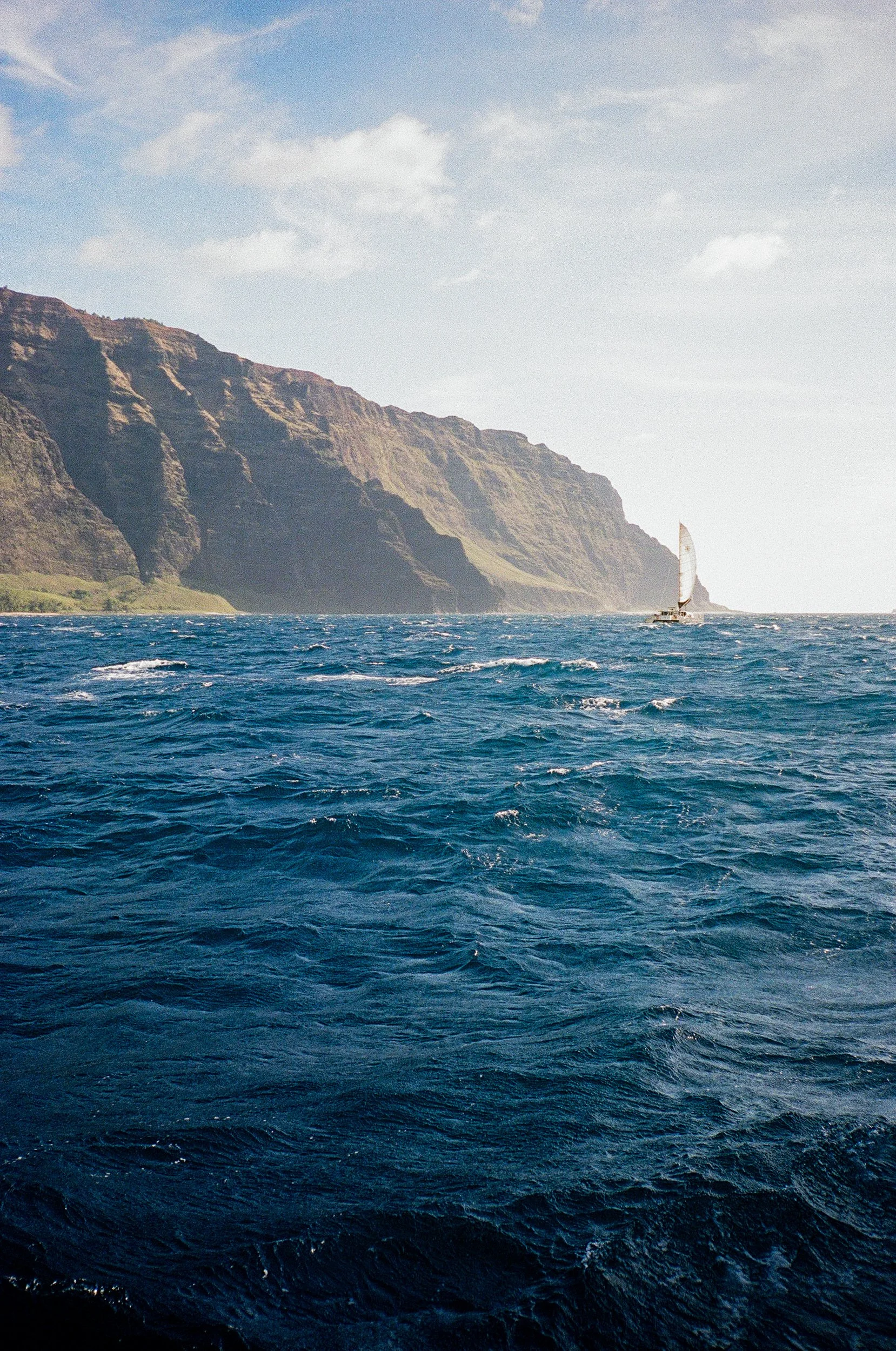 20-kauai2026-vivianchen-000244770003.jpg