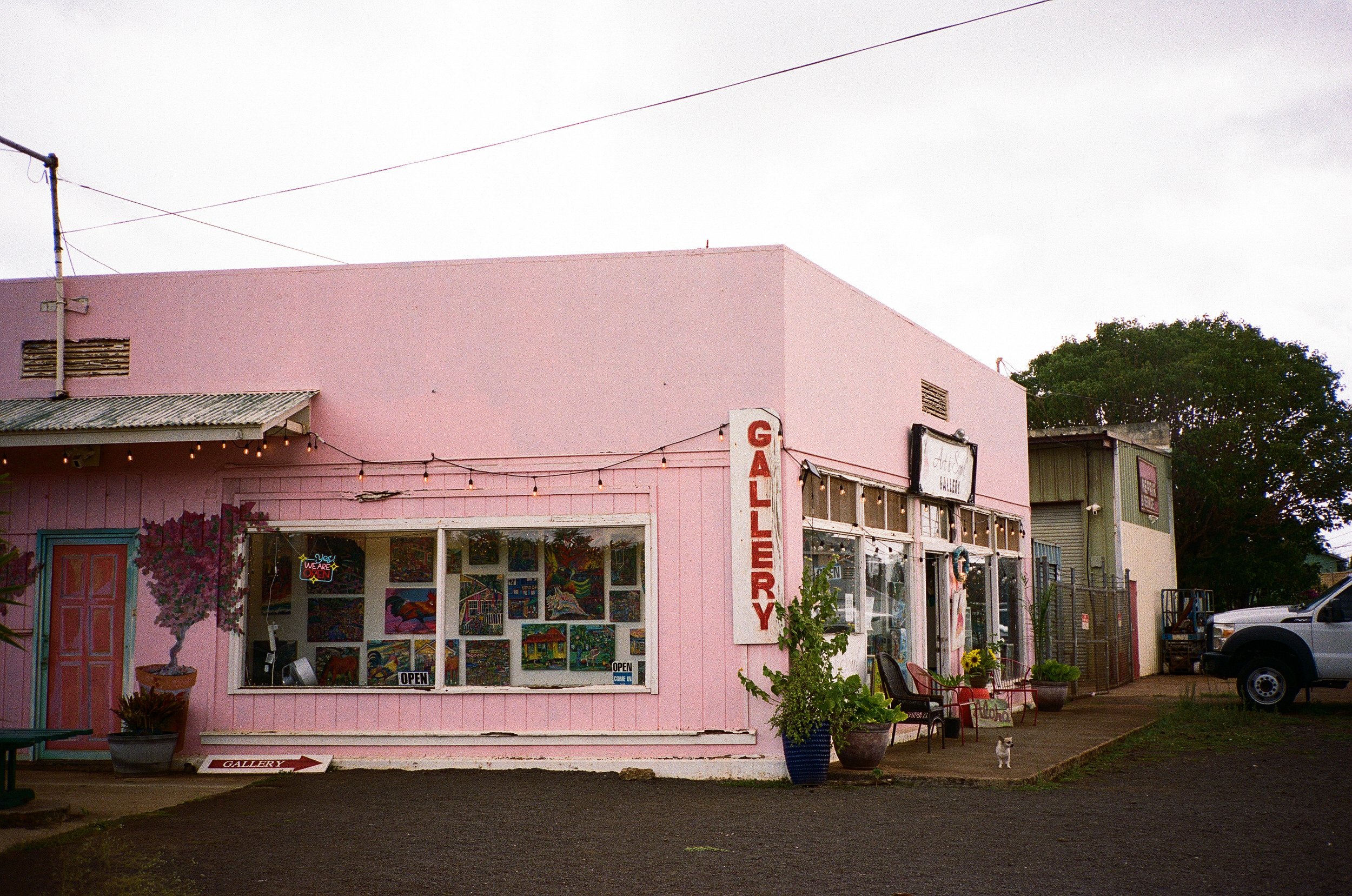 15-kauai2026-vivianchen-000244760006.jpg