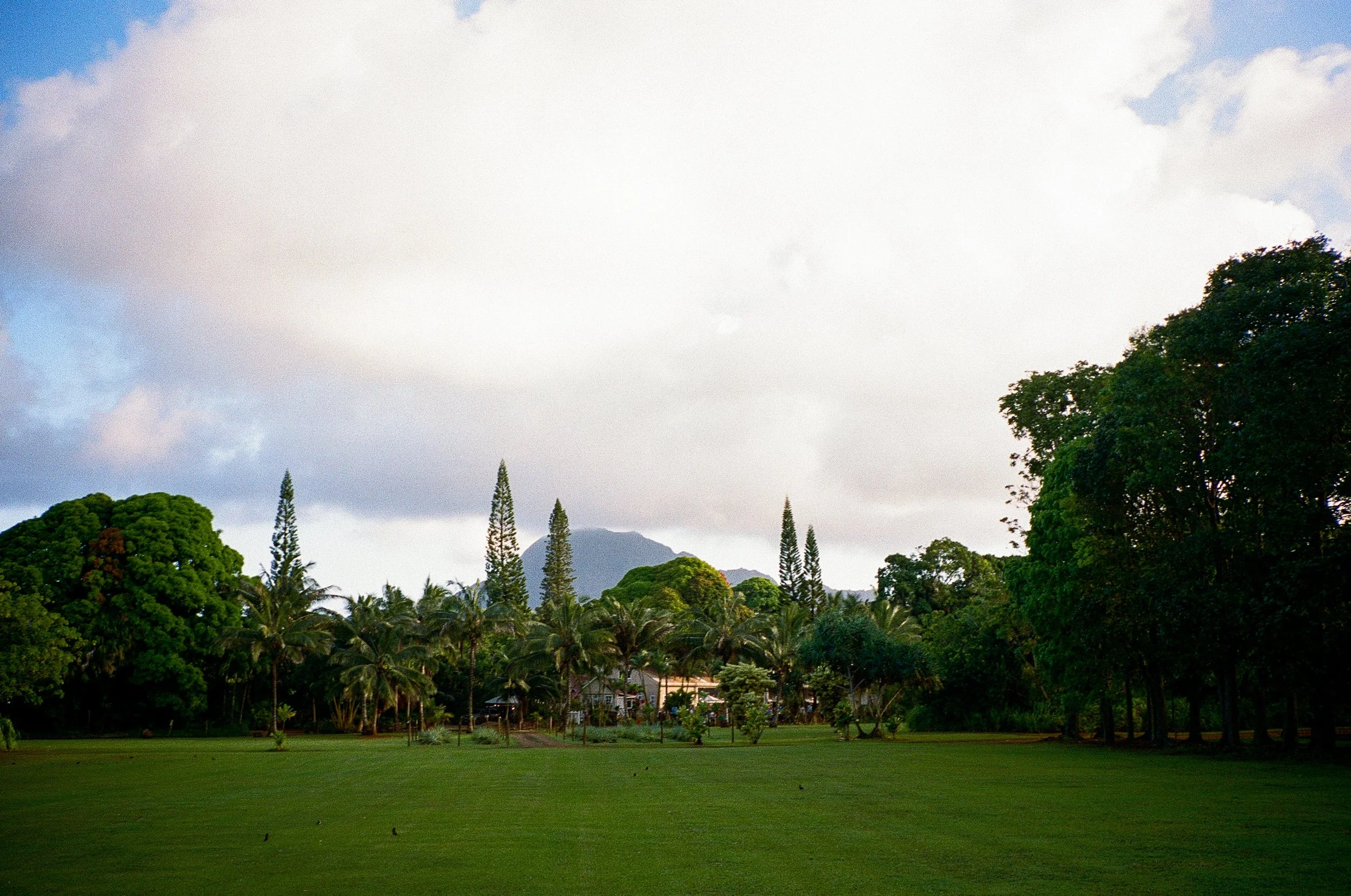 28-kauai2026-vivianchen-000244770029.jpg