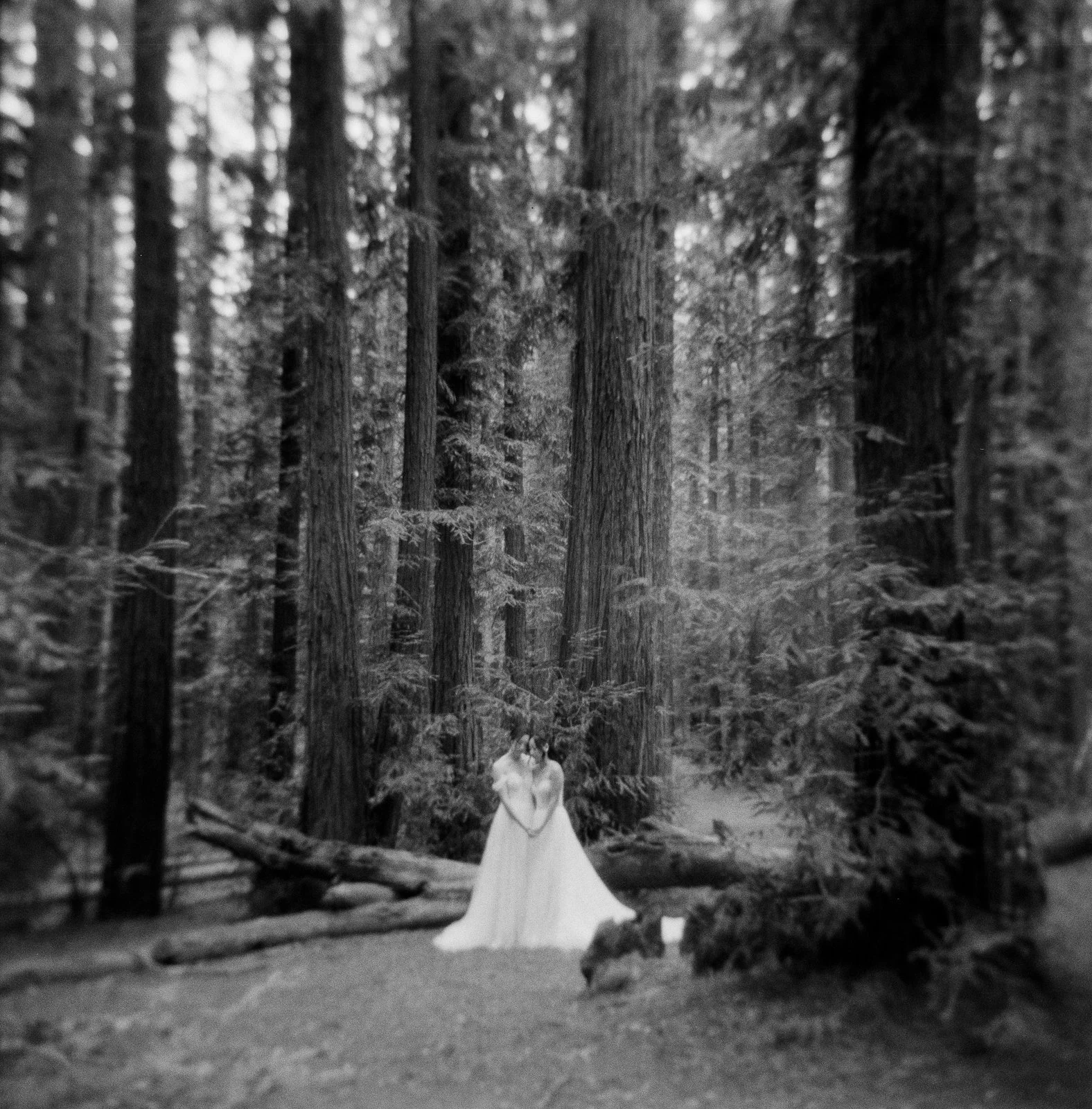 A queer Asian couple standing in white wedding dresses in a redwood forest embracing, shot on black and white film on a Holga camera.