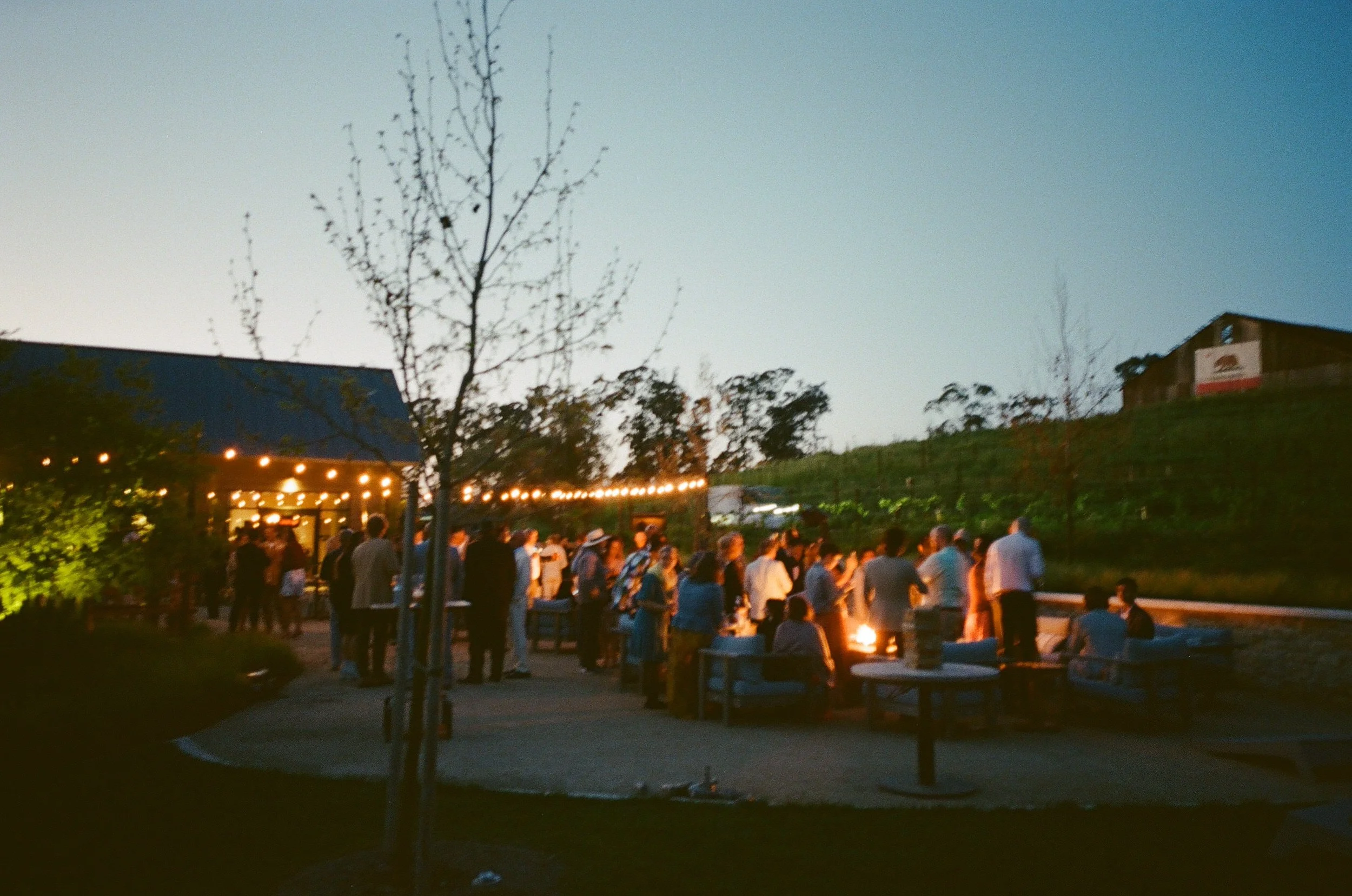 A group of people gathered outdoors at dusk around fire pits with string lights overhead, on a grassy hill with buildings and trees in the background.