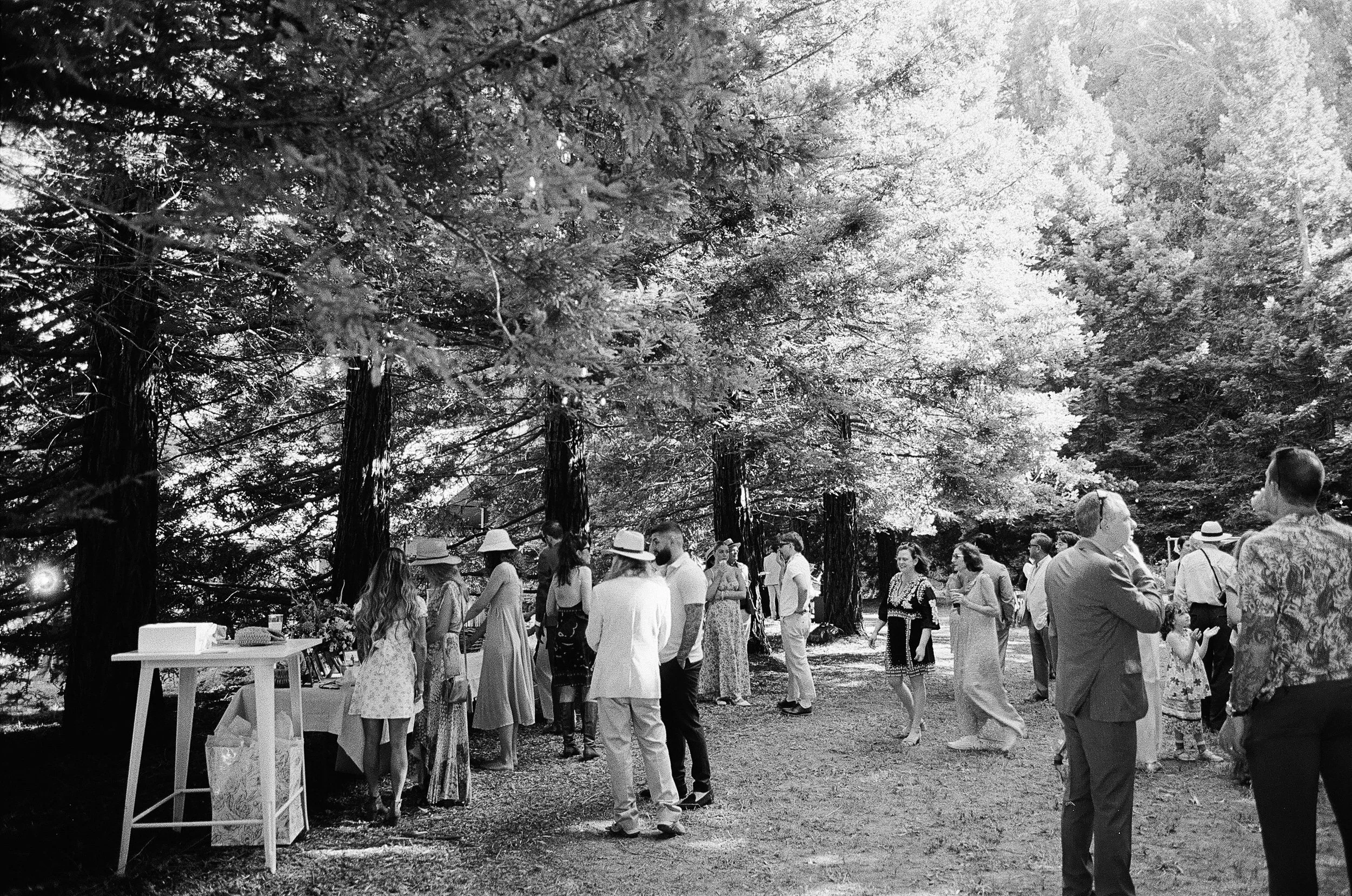 A black and white photo of a group of people gathered outdoors among tall trees, possibly at a park or festival. Some people are wearing hats and engaged in conversation, with a variety of ages present.