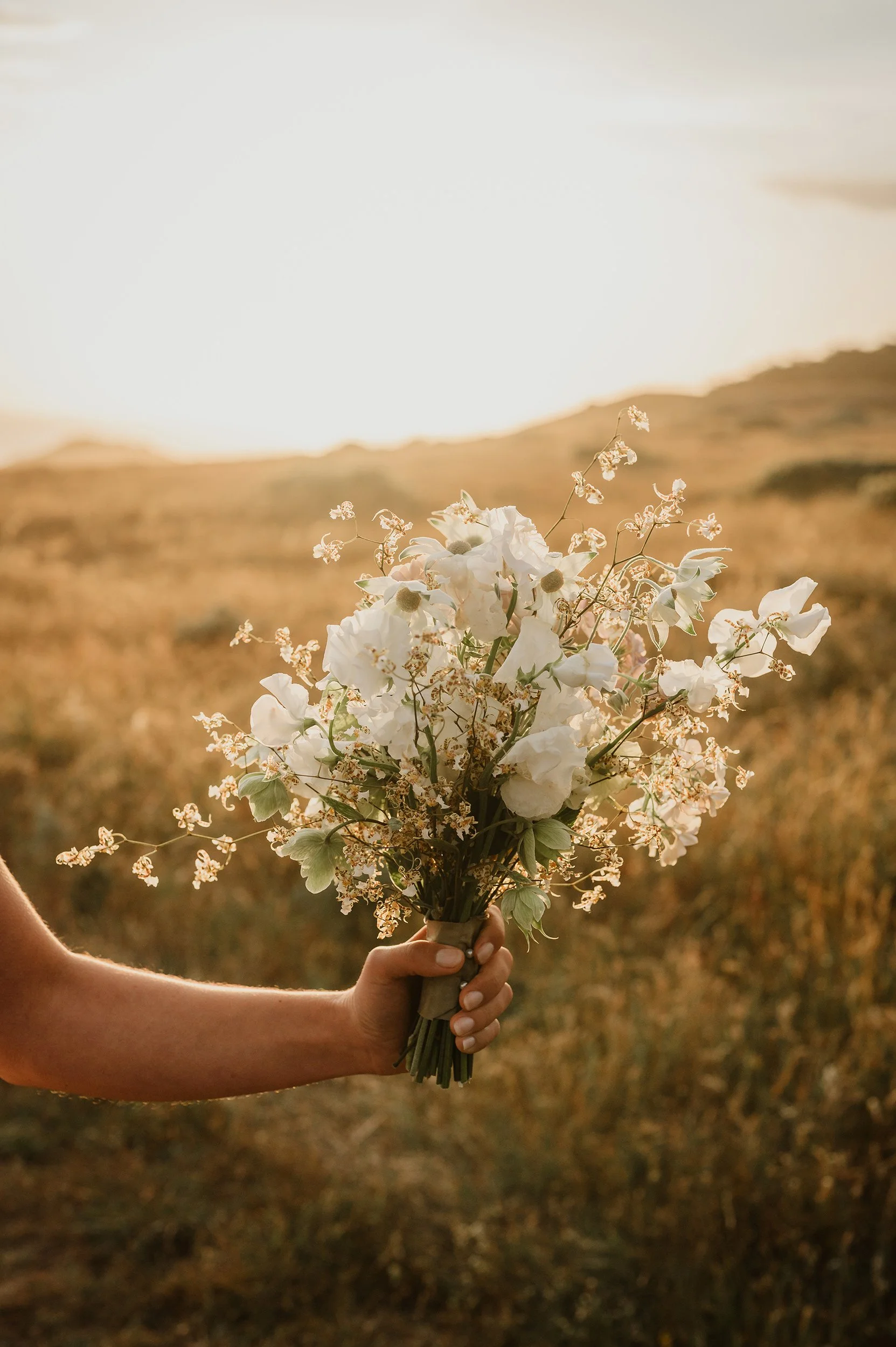 A wedding bouquet back lit with a coastal sunset.