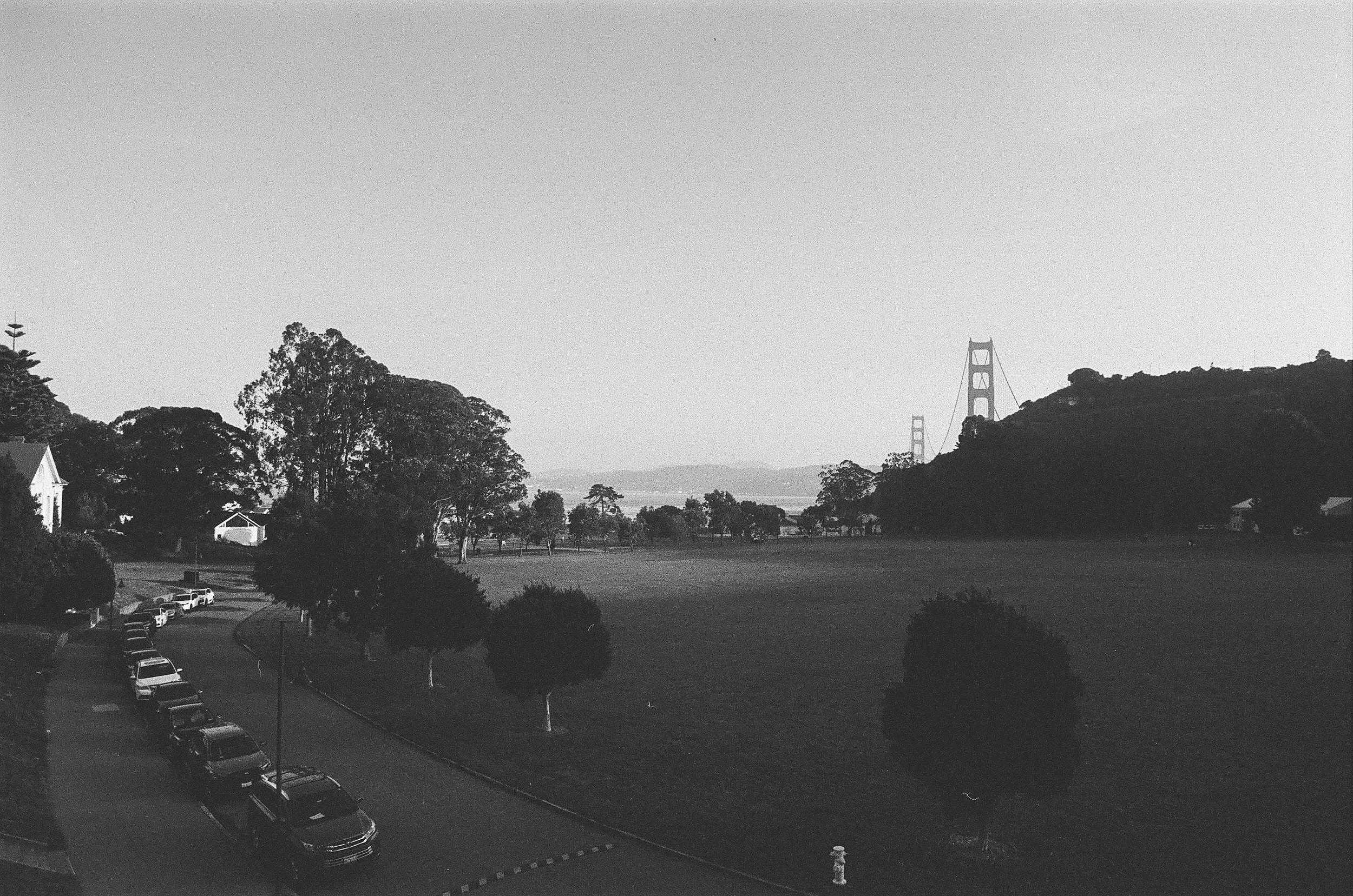A black and white photo of the Golden Gate Bridge in San Francisco, California, visible in the distance beyond trees and a park with parked cars in the foreground.