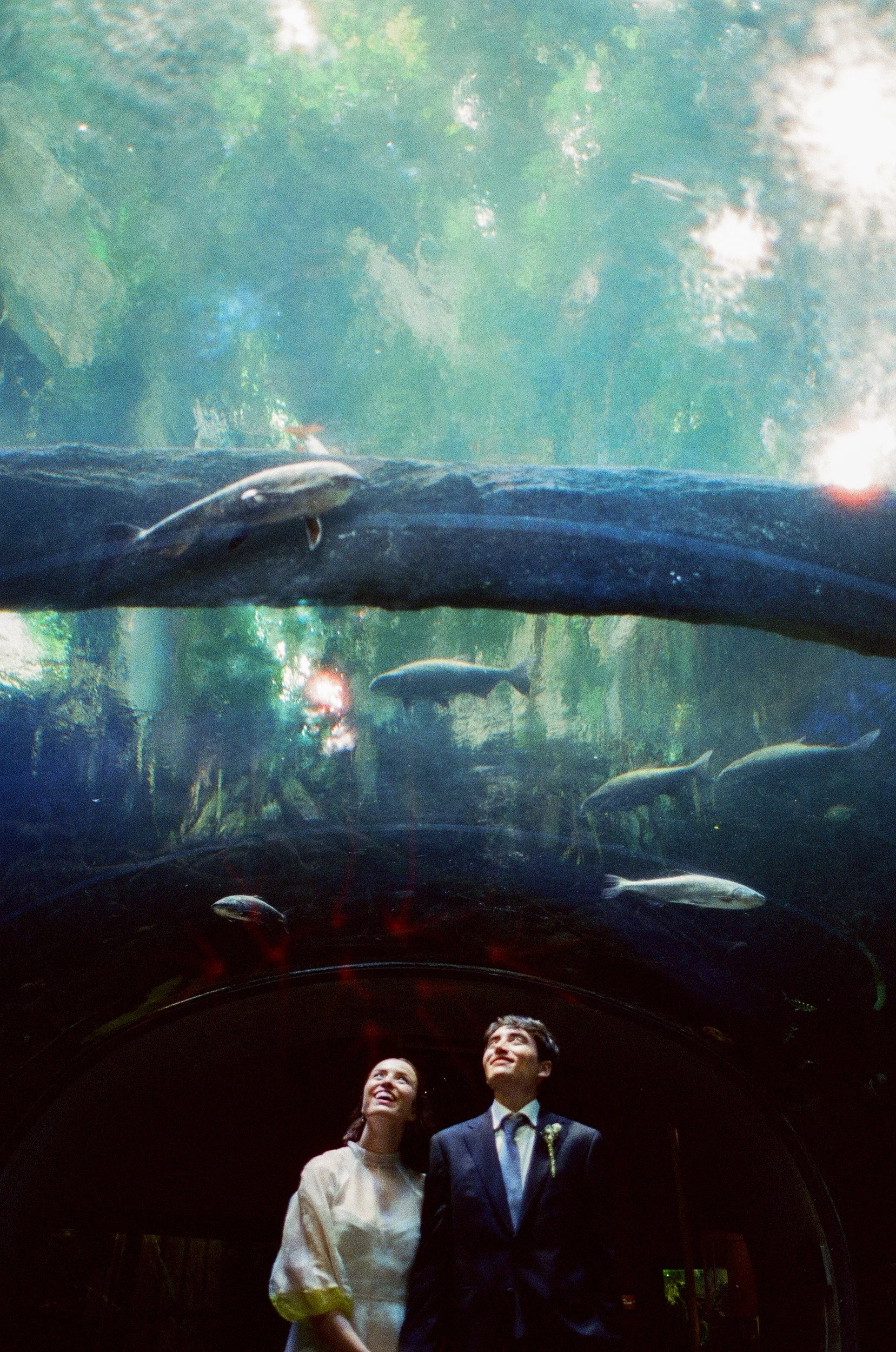 A couple standing together, looking up with smiles, inside an aquarium tunnel with fish swimming above them.