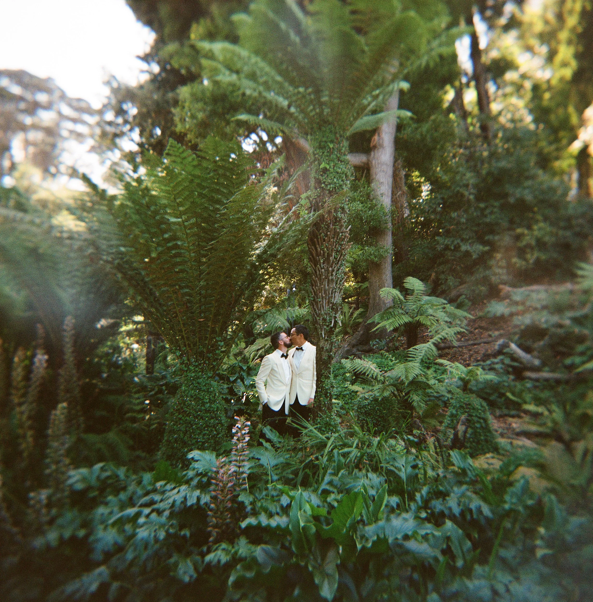 A couple dressed in wedding attire are kissing in a lush outdoor setting filled with tall trees, ferns, and greenery.