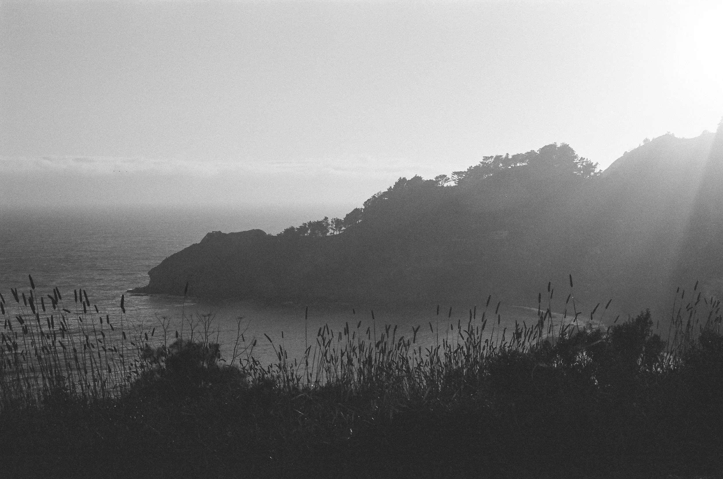 Black and white photo of a coastal landscape with a rocky hillside covered in trees, overlooking the ocean with the sky visible in the background.