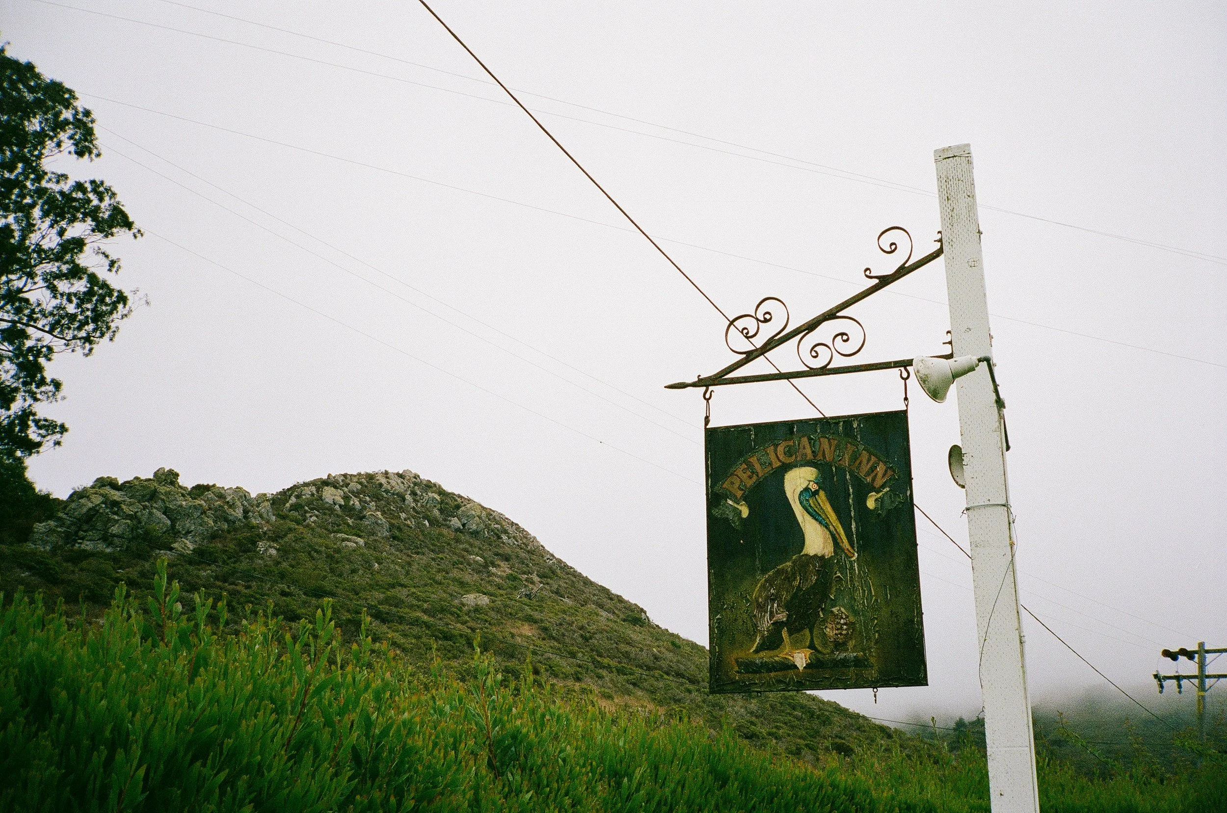 019-pelican-inn-muir-beach-film-wedding-erinpradoVCP-569.jpg