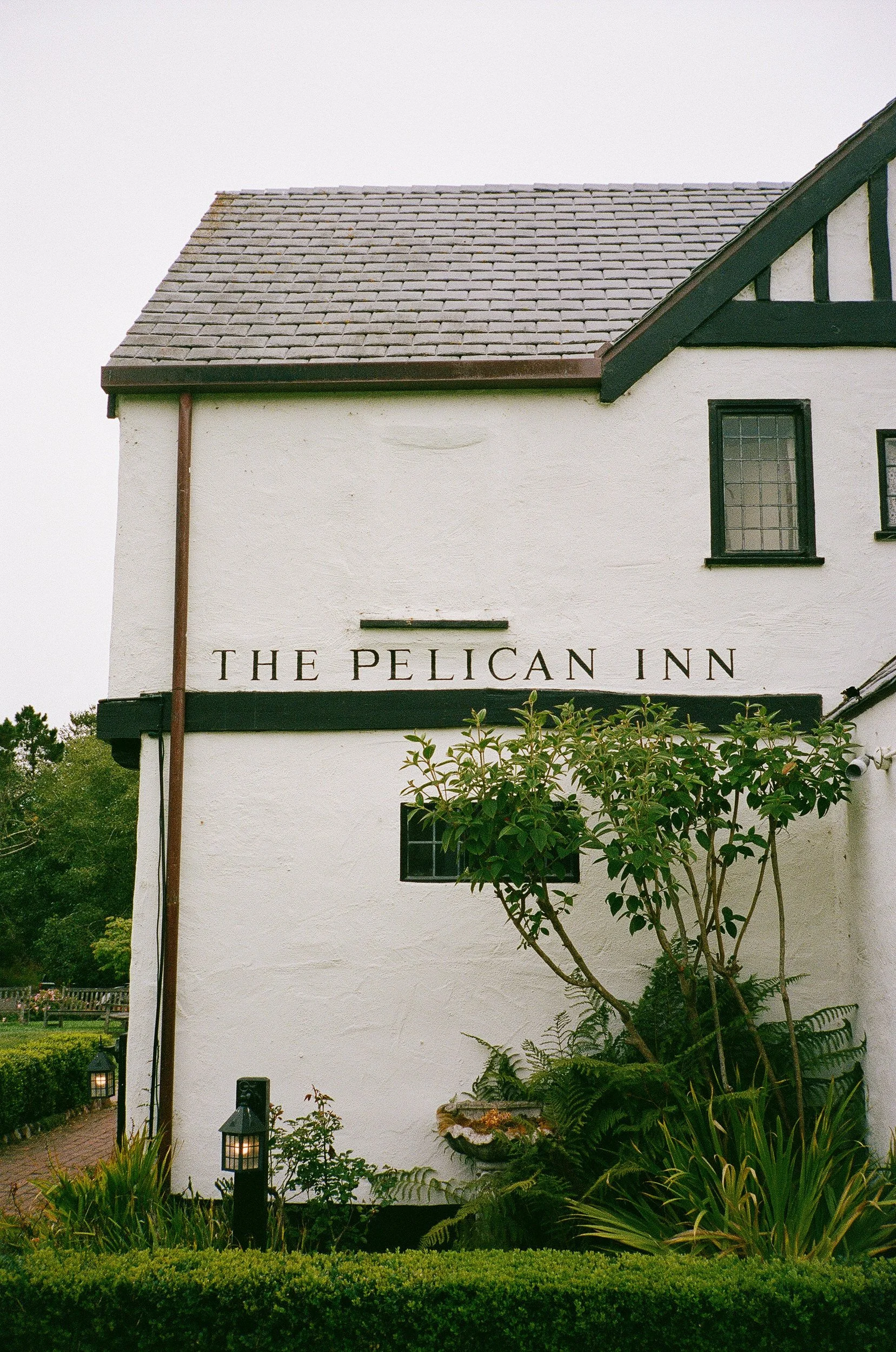 018-pelican-inn-muir-beach-film-wedding-erinpradoVCP-568.jpg