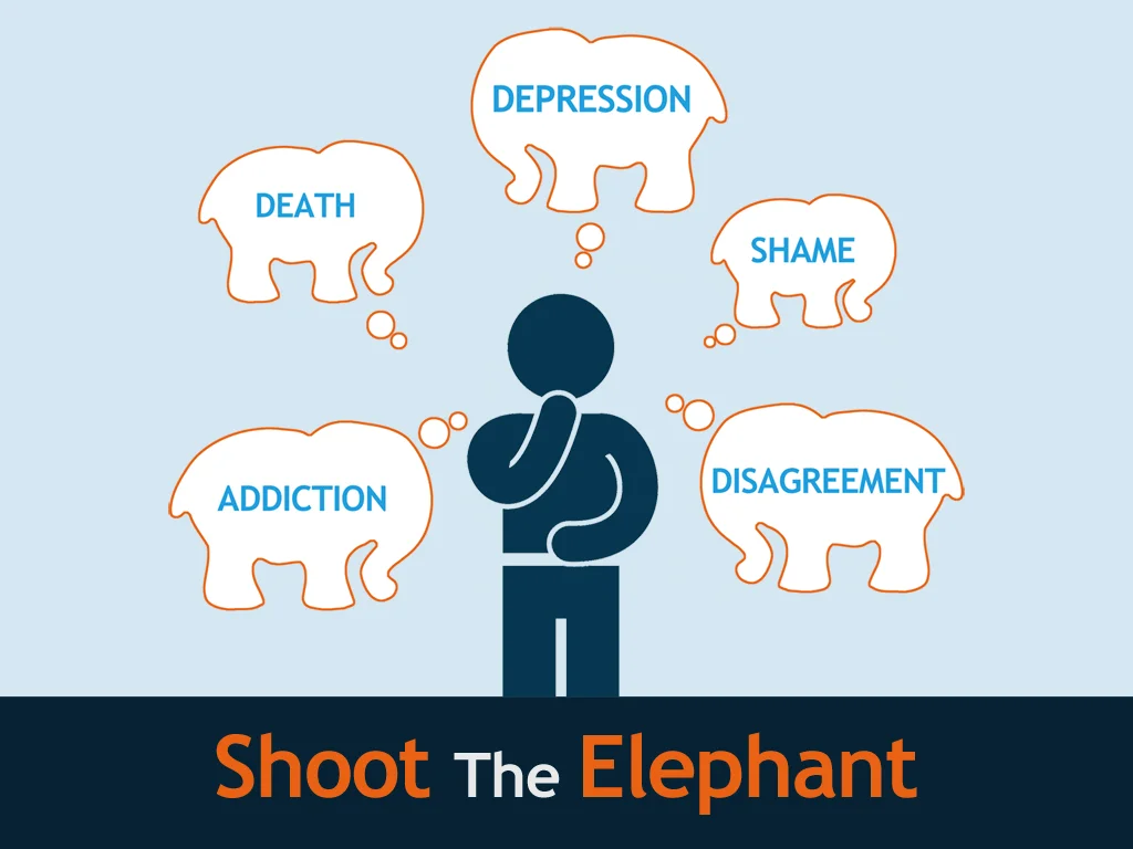 Shoot the Elephant SERIES.jpg