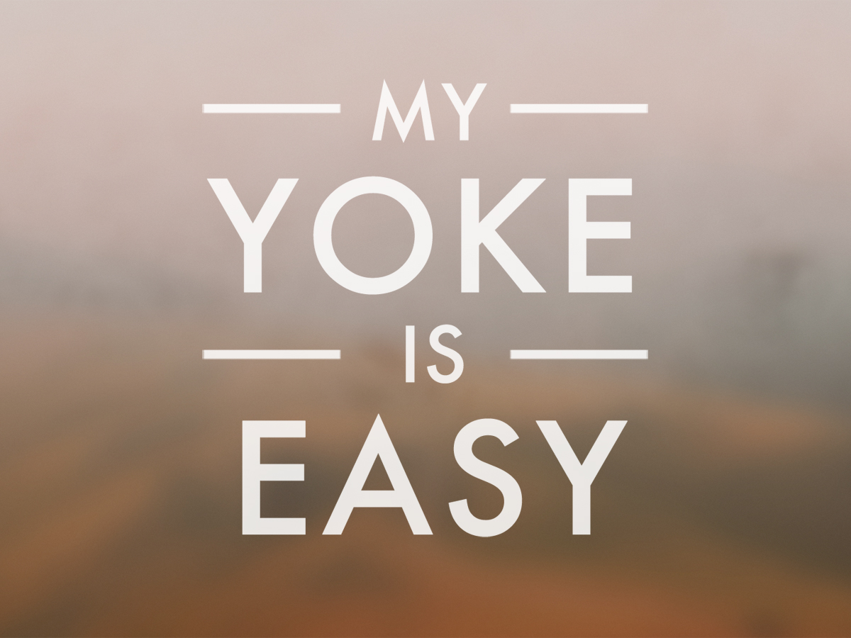 YOKE shell grfx.jpg