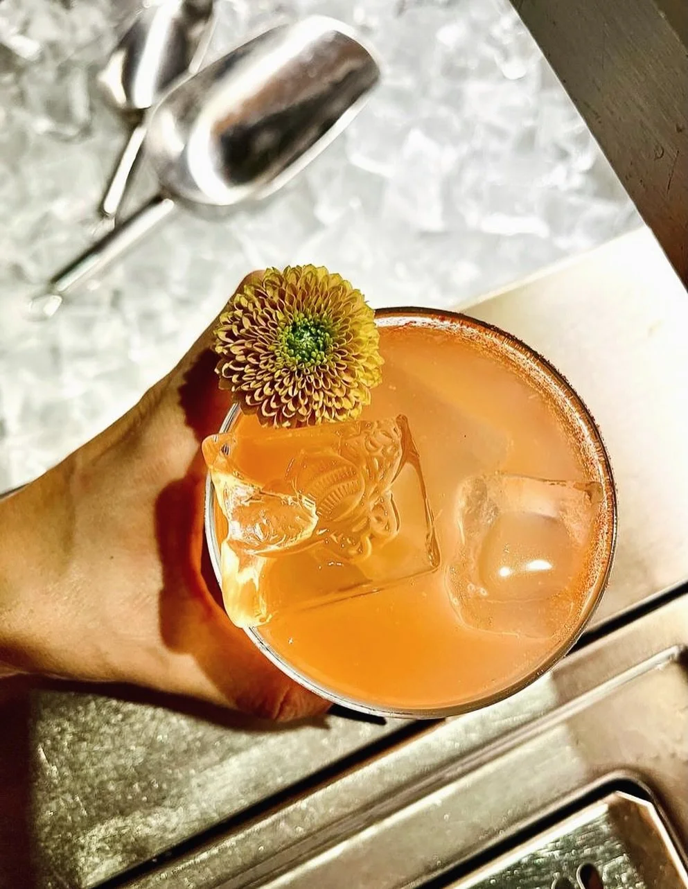 Paloma: Classic &amp; cool. 🐝🍸
.
.
.