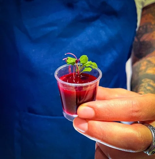 Pessoa segurando um copo transparente com suco vermelho e uma pequena planta em cima