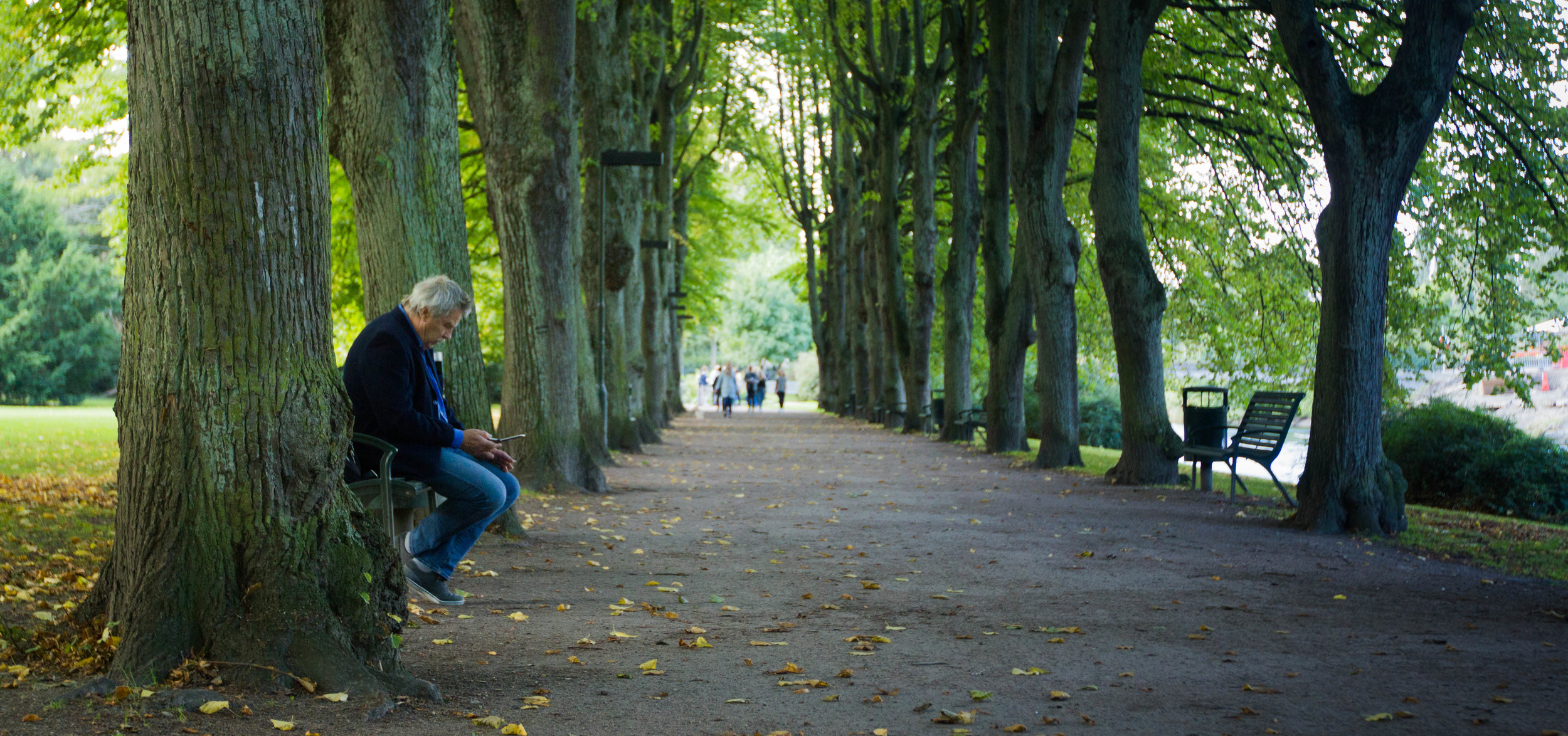 Old man in Malmo Park