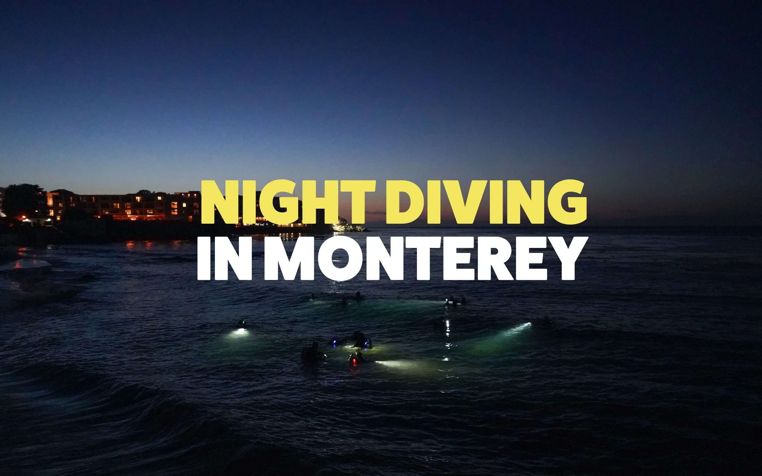 Monterey Night Dive