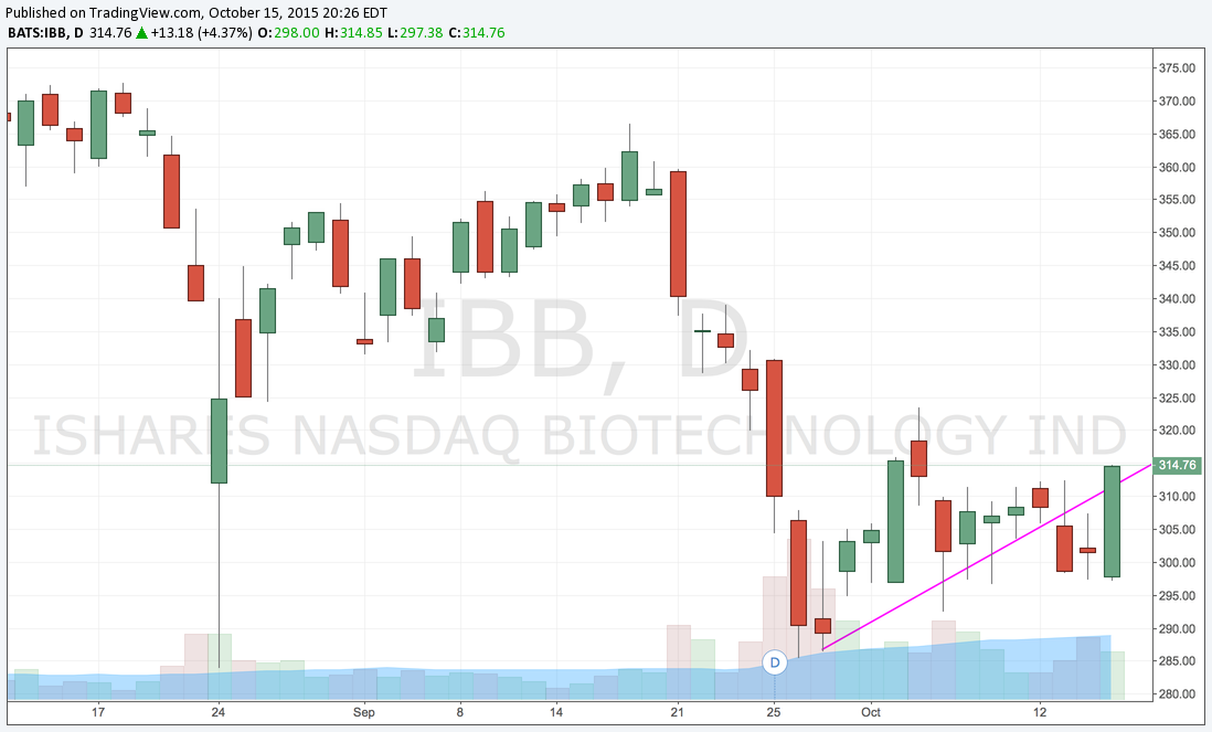 IBB Reclaim.png