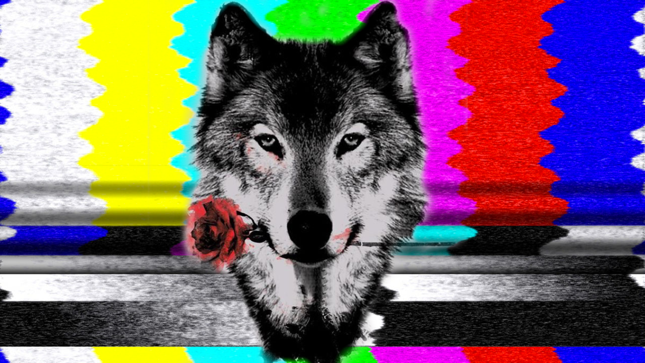 7/25 Weekly Earnings Packet