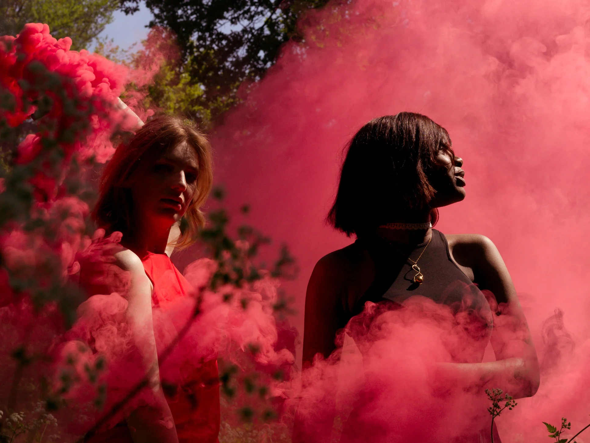 Up in Smoke, The Importance of Caution