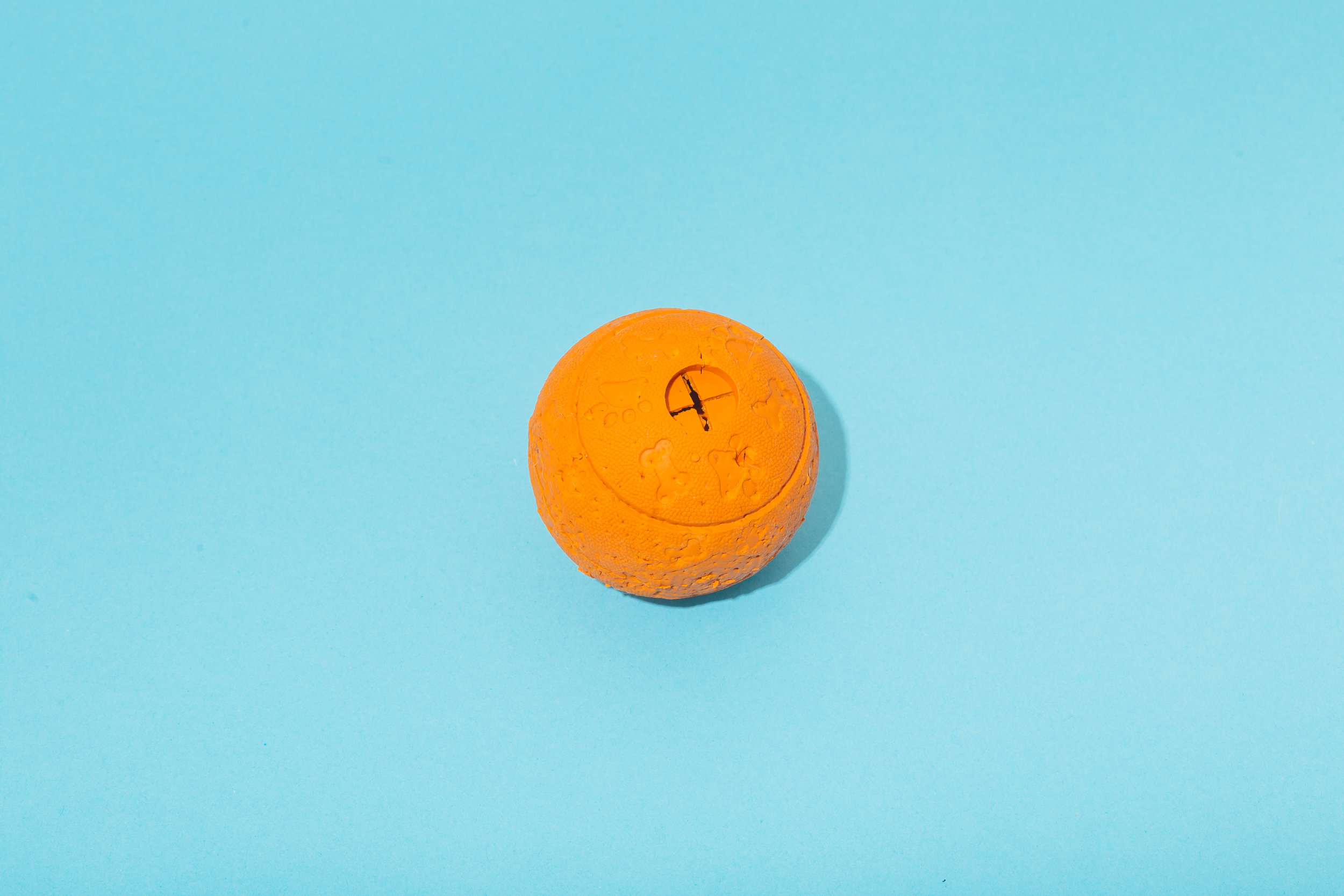 Chew Toy (CHWY Earnings) 