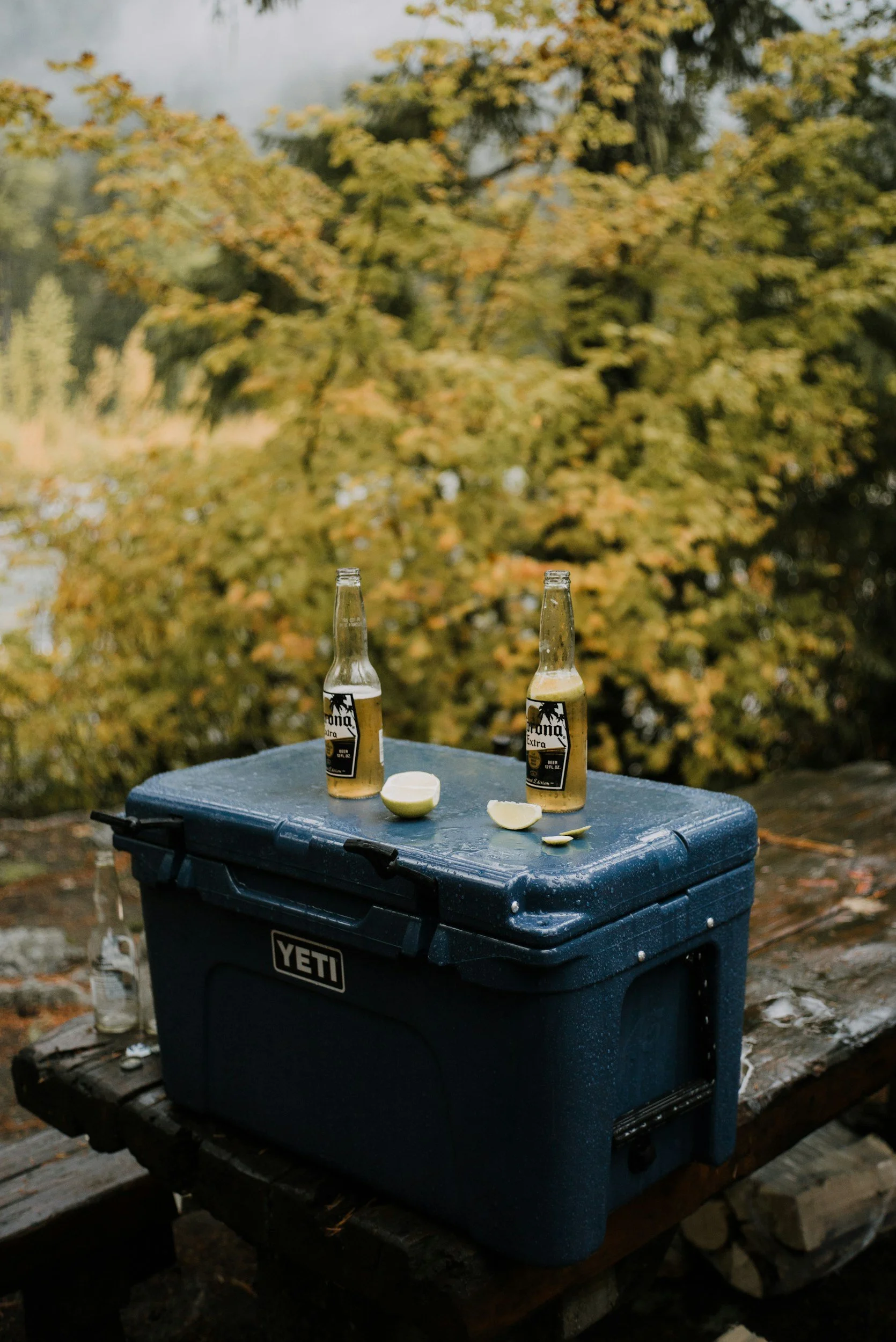 Cooler (YETI Earnings)