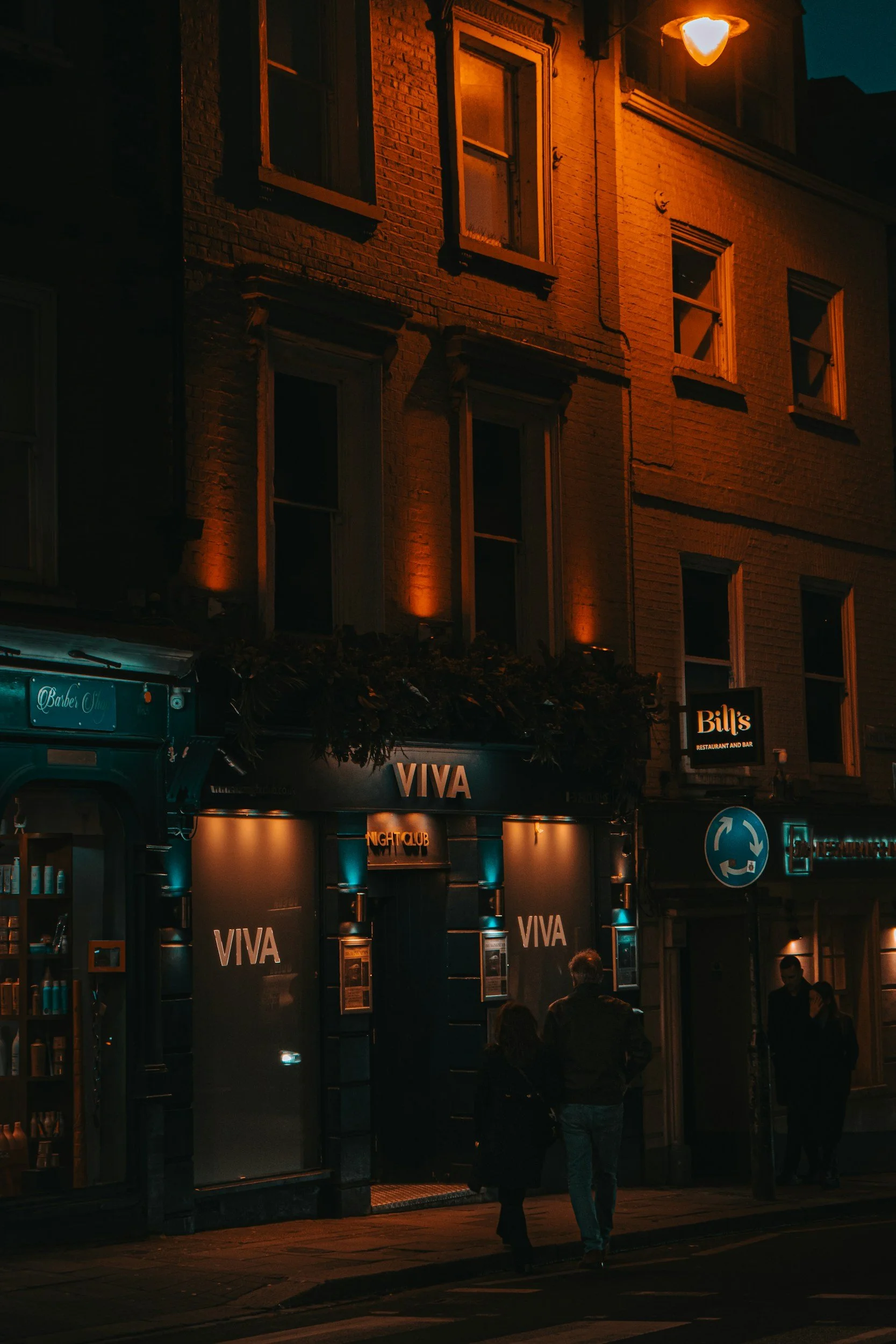 Viva (VEEV Earnings)