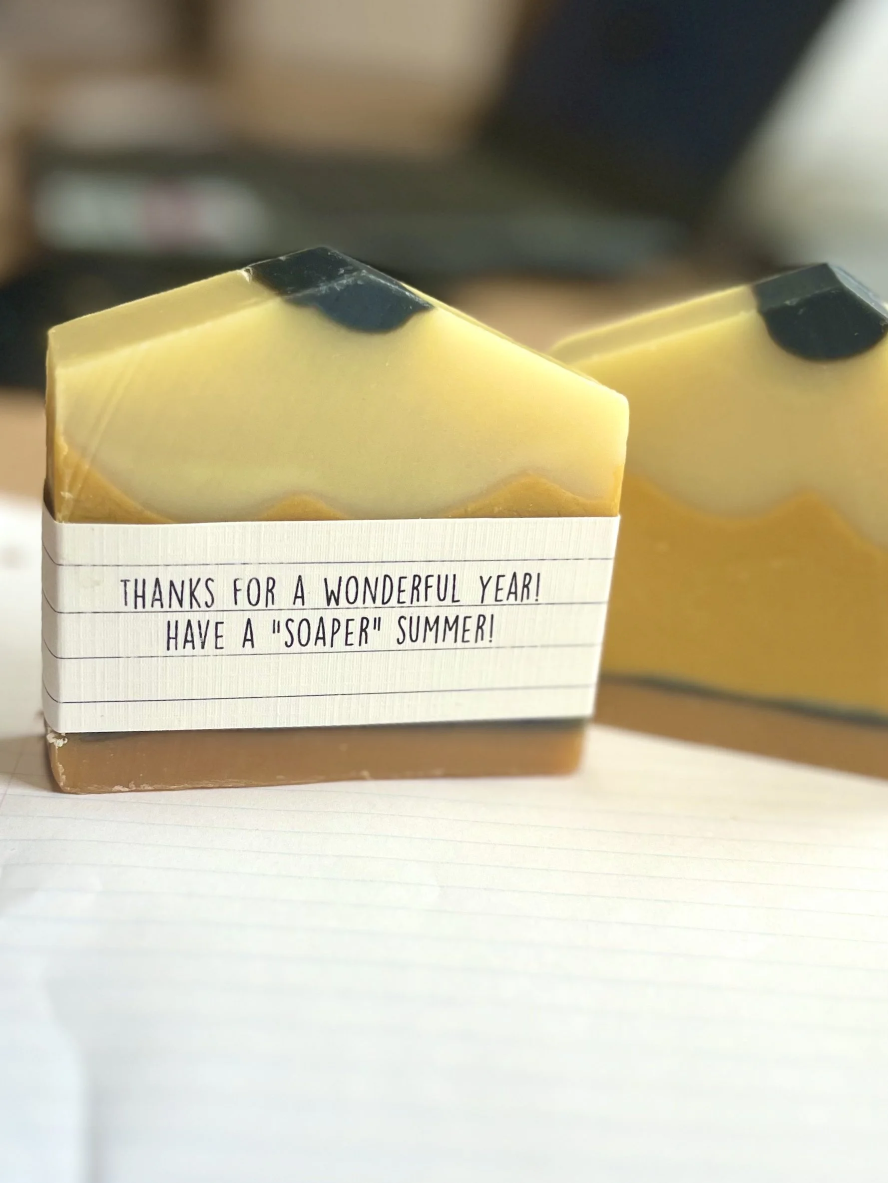 Lavish Earth satsuma citrus teacher appreciation bar soap, cold processed natural gift idea Ontario
