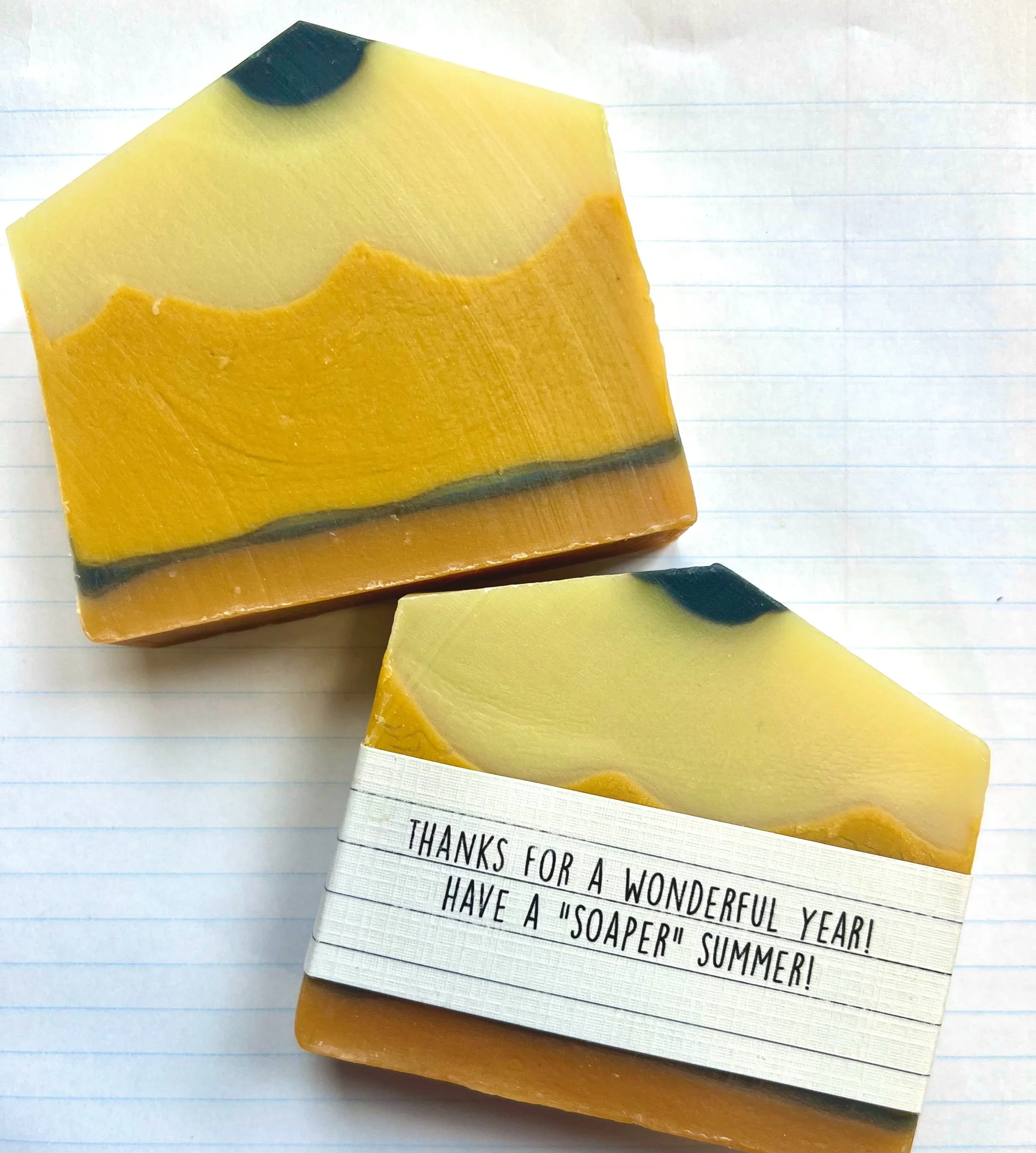 Lavish Earth satsuma citrus teacher appreciation bar soap, cold processed natural gift idea Ontario
