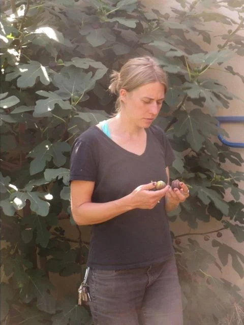 figs at preston street.jpg