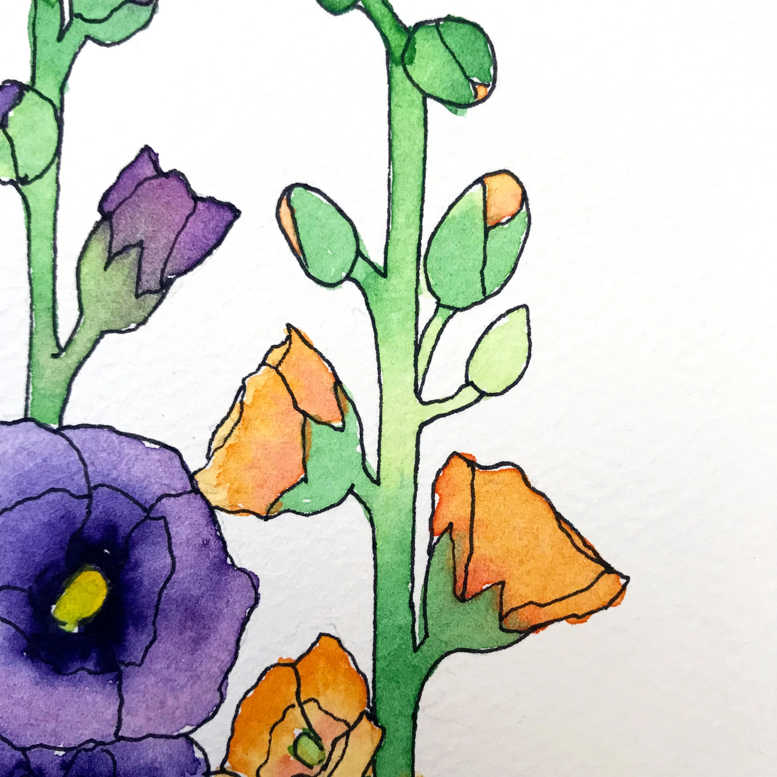 The green in the stems of these hollyhock flowers shows how well pigment blends on Fabriano cold press, with a wet-on-wet technique. The colors are left vibrant and clear, by danielleandco.com