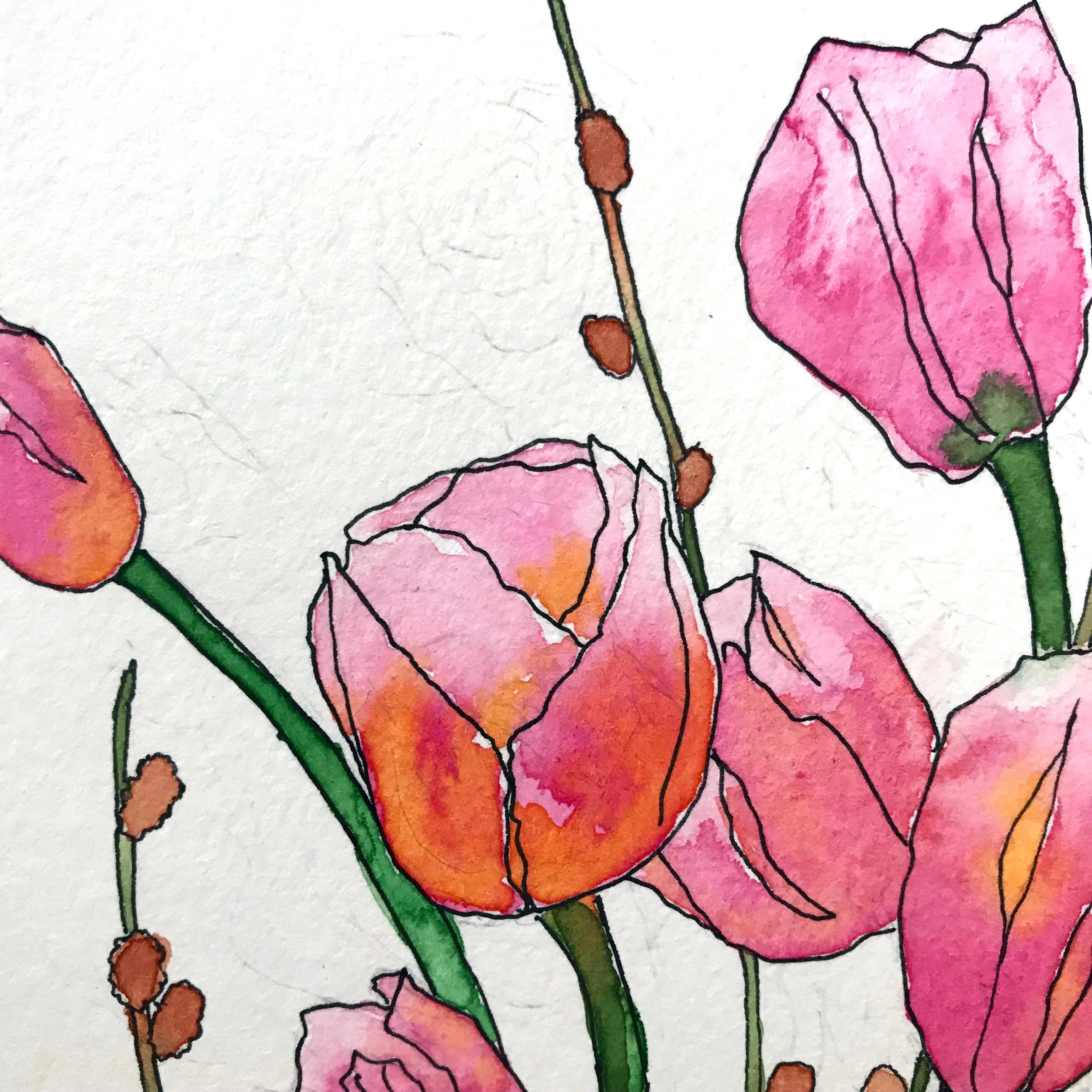 Using a student-grade paper, pencil does not erase as easily and you can see the pigment bloom more as the water dry, creating lines in the pink petals, by danielleandco.com