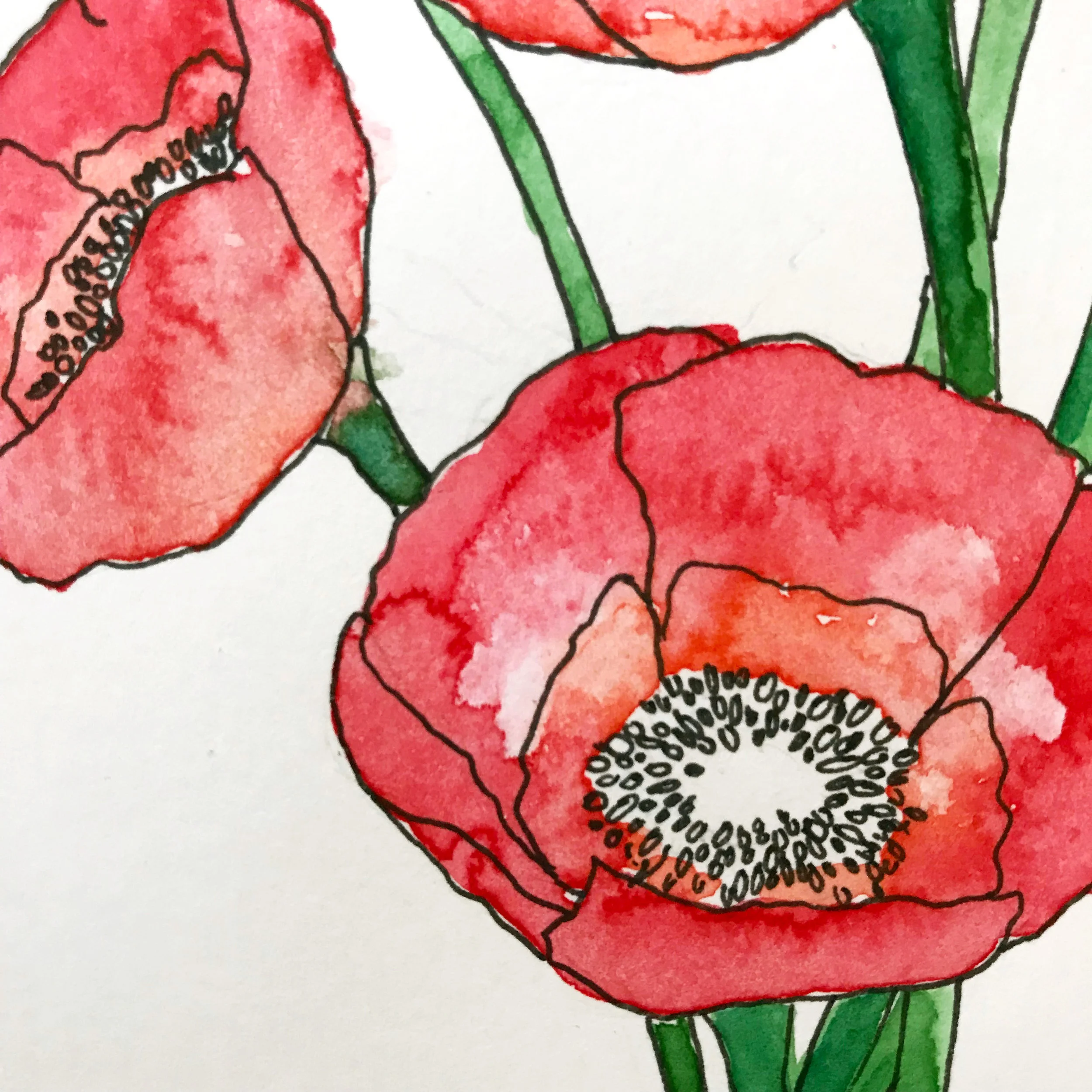 Bristol paper allows for the smoothest illustration using micron pens, but watercolors do not absorb as well using a wash of water which causes the pigment to sit on the surface of the paper.