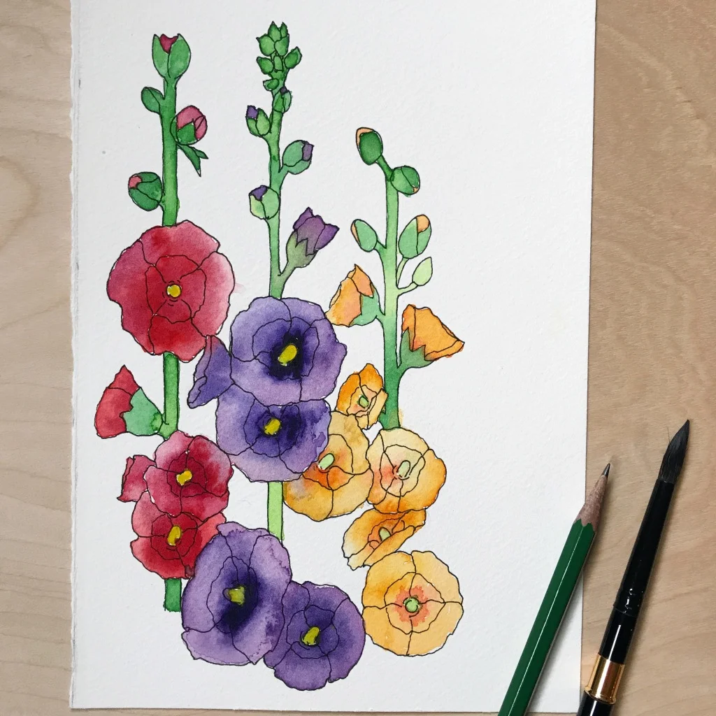Hollyhock flowers drawn & painted on Fabriano Cold Press paper, by danielleandco.com