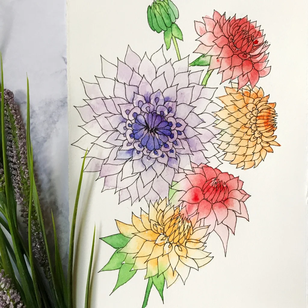 Hollyhock flowers drawn & painted on Canson Heritage Hot Press paper, by danielleandco.com