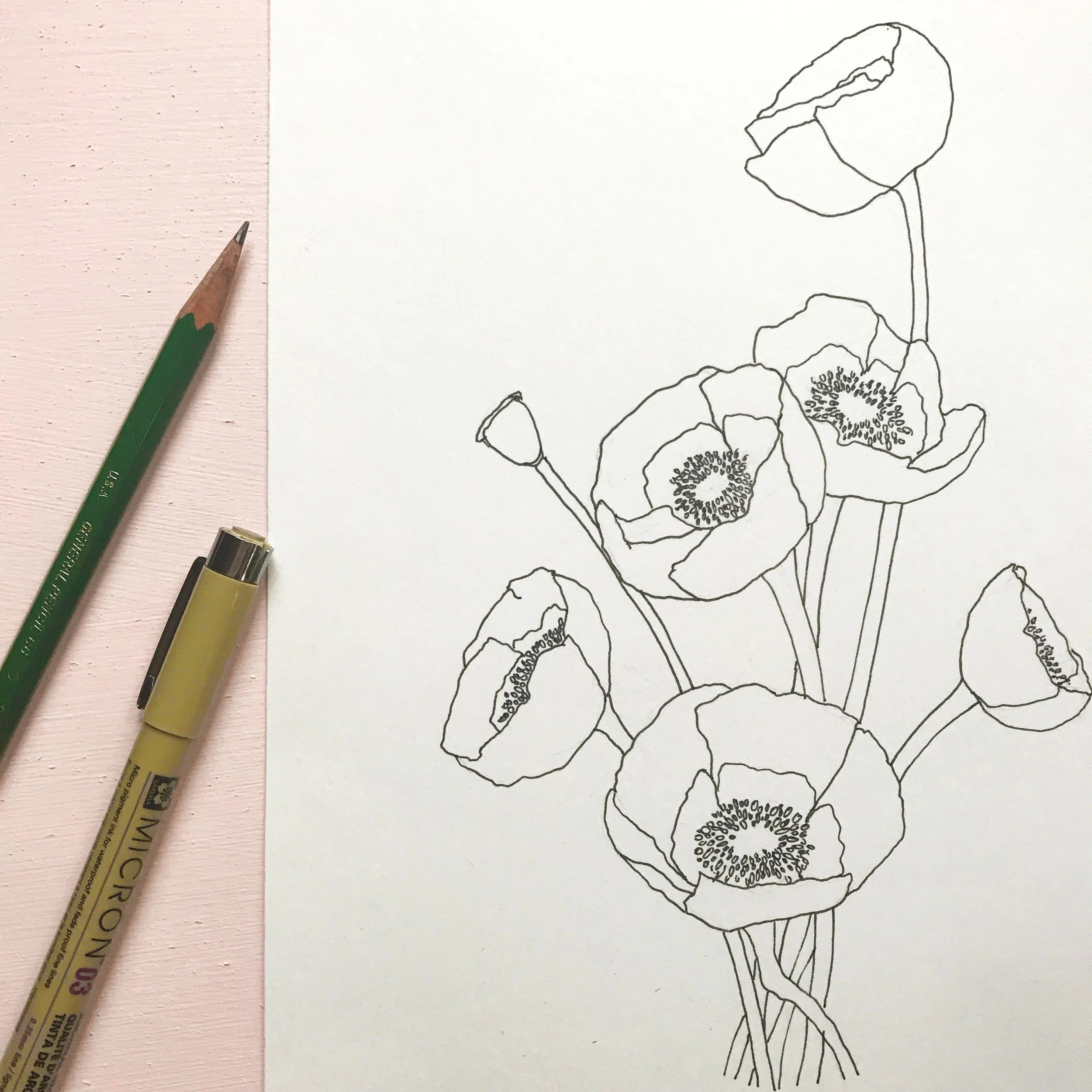 Poppy flowers drawn on Canson XL Bristol Smooth paper, by danielleandco.com
