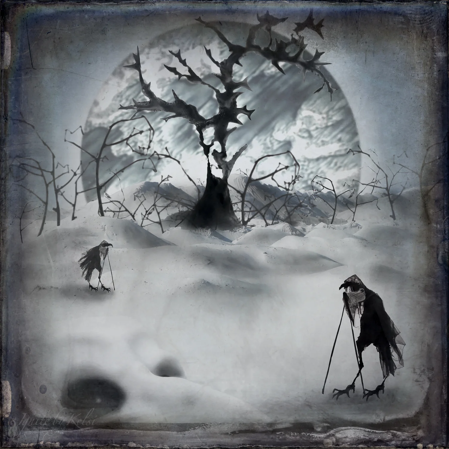 The Birdwalkers Created 2016